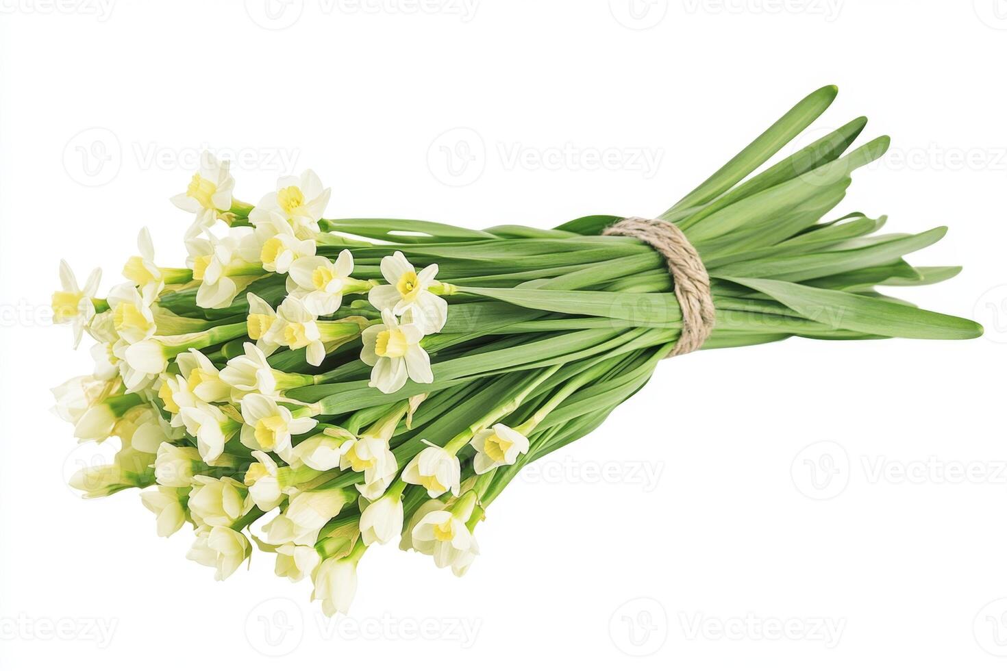 Spring Daffodil Bouquet - A Springtime Delight photo