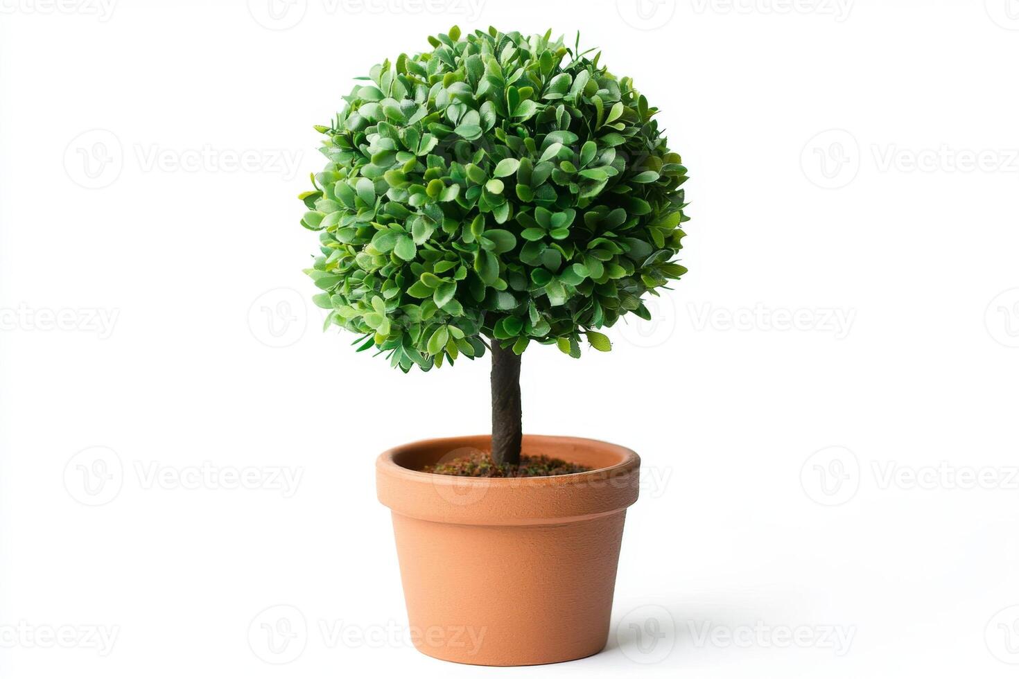 Miniature Artificial Tree in Pot - A Delightful Home Decor photo