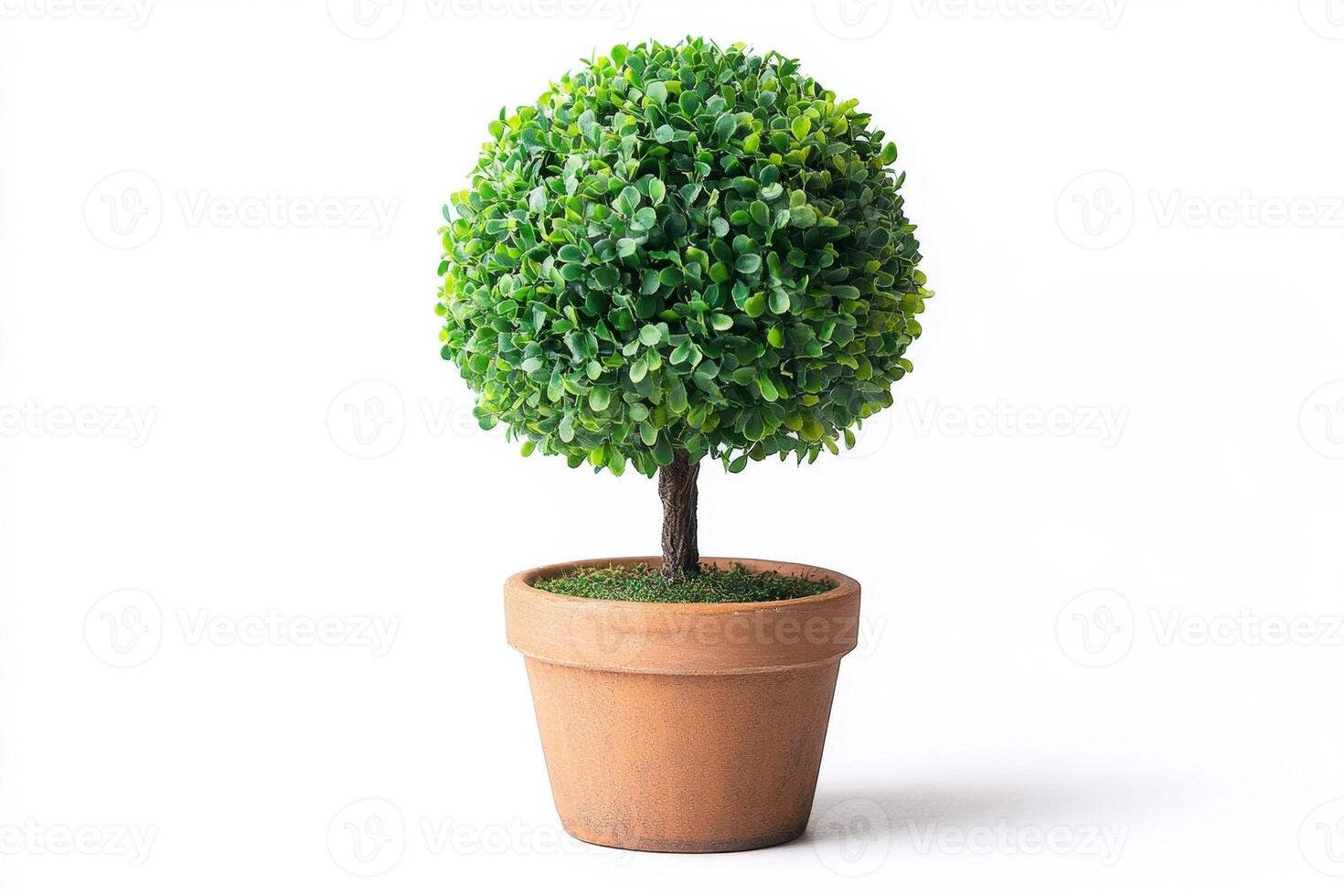 Beautiful Artificial Topiary in Terracotta Pot photo