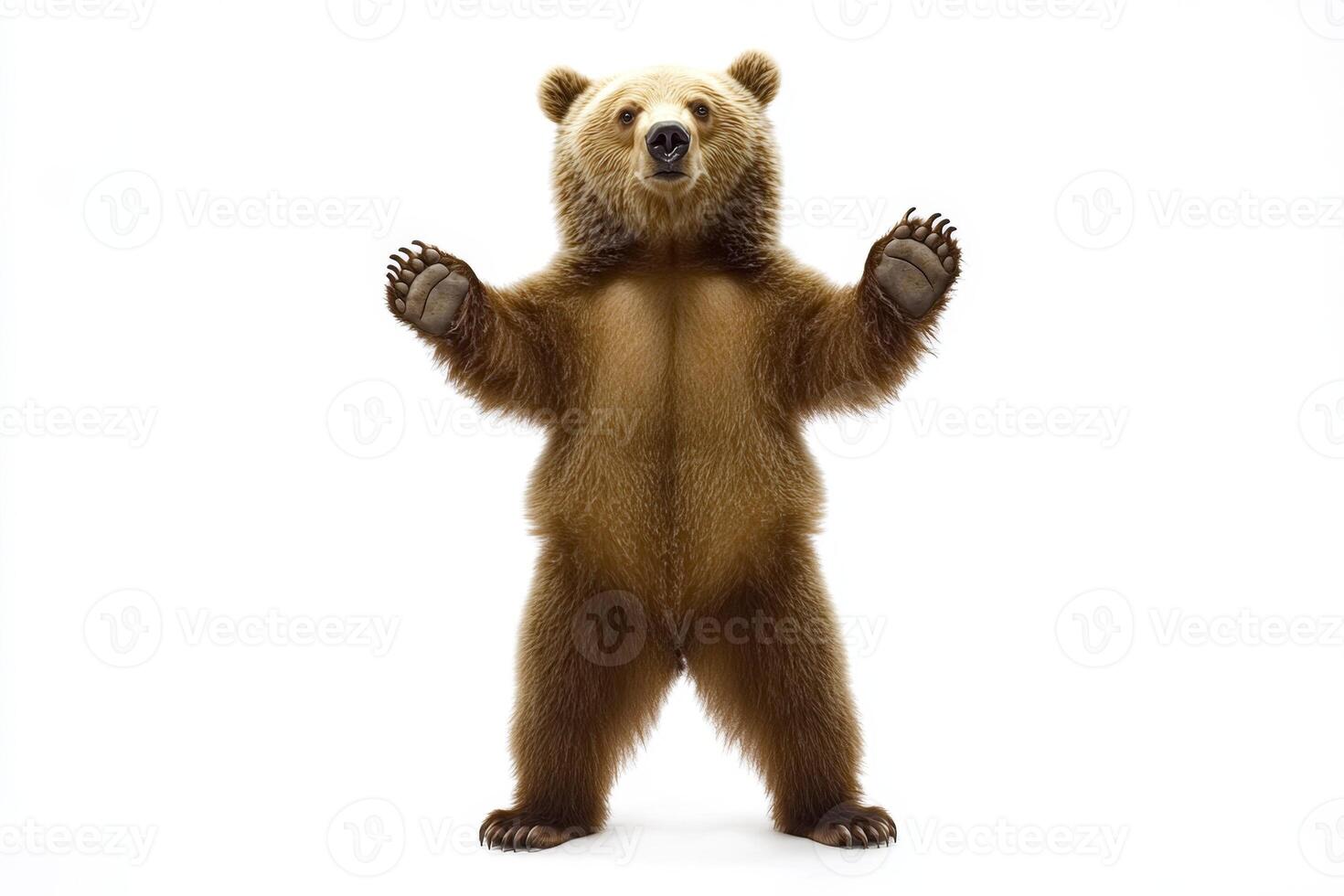 Brown Bear Standing Proudly photo