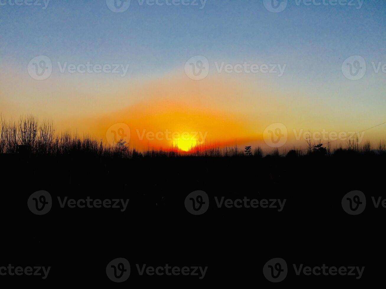 A sunset over a field with trees in the background photo