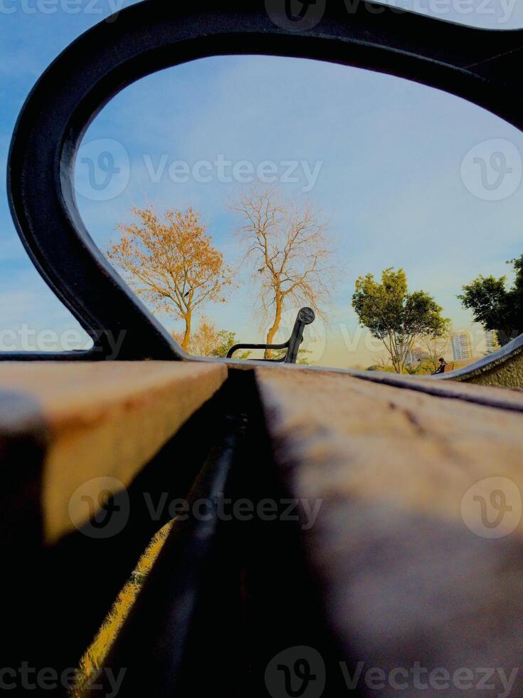 A bench with a reflection of a tree and sky photo