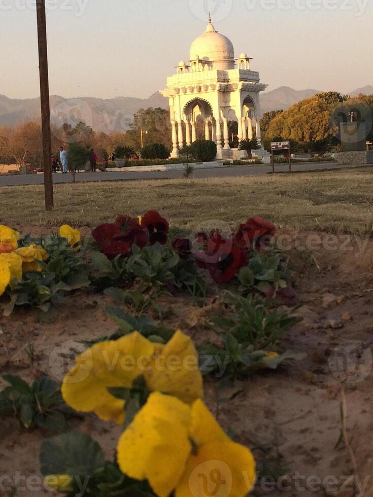 A field of flowers with a white building in the background photo