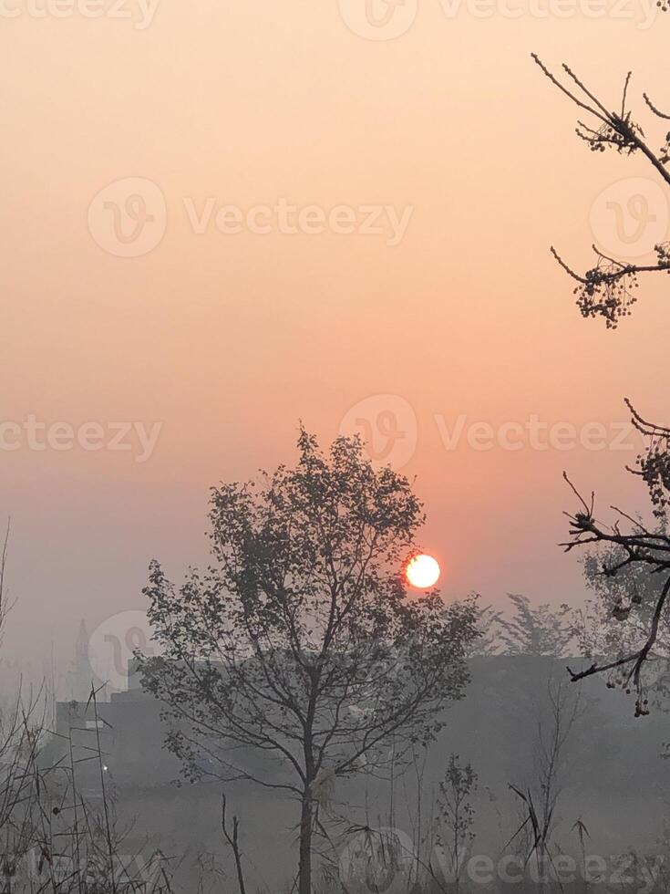 The sun sets over a river and trees photo