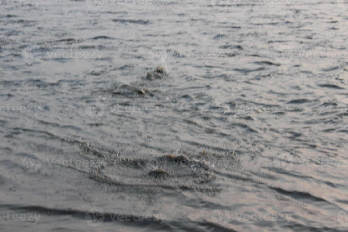 A man is standing in the water with a surfboard photo