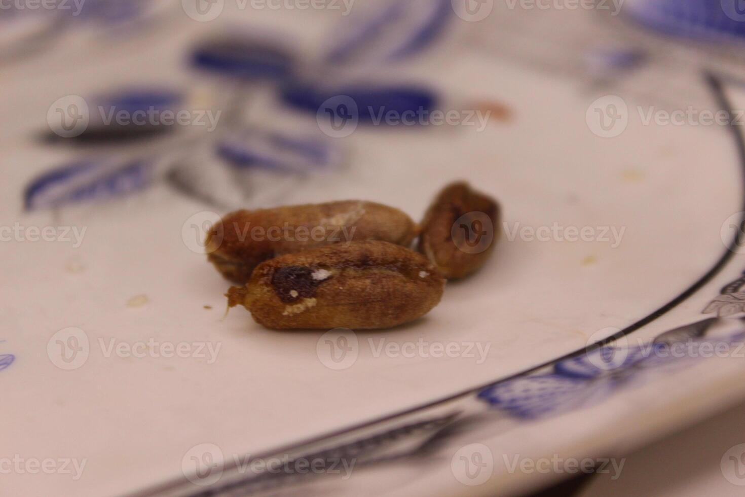A plate with three beans on it photo
