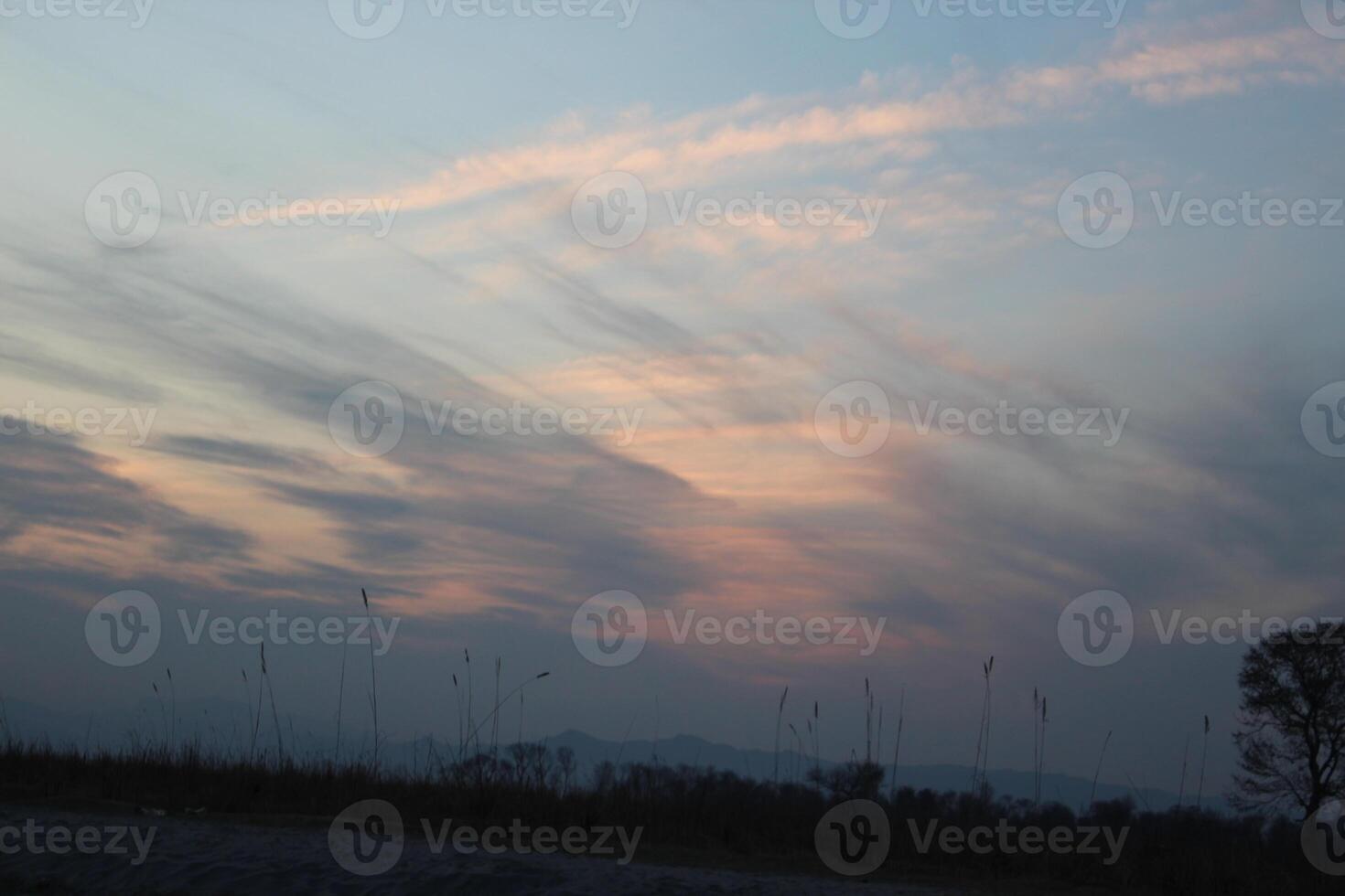A plane flying over a field with a sky photo