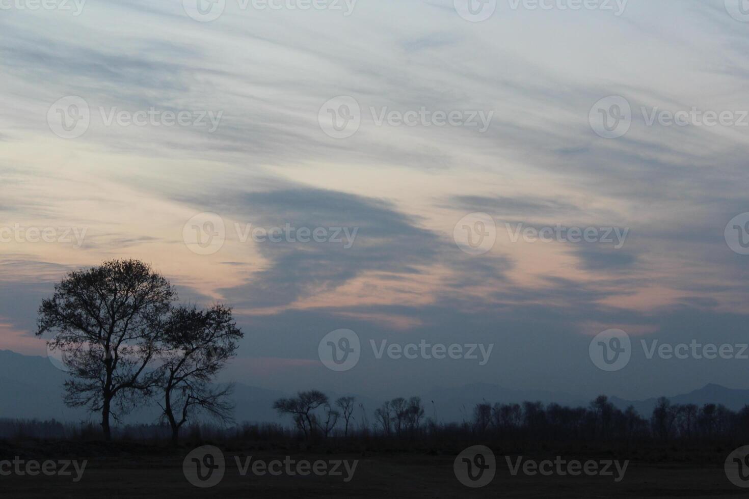 A sky with clouds photo