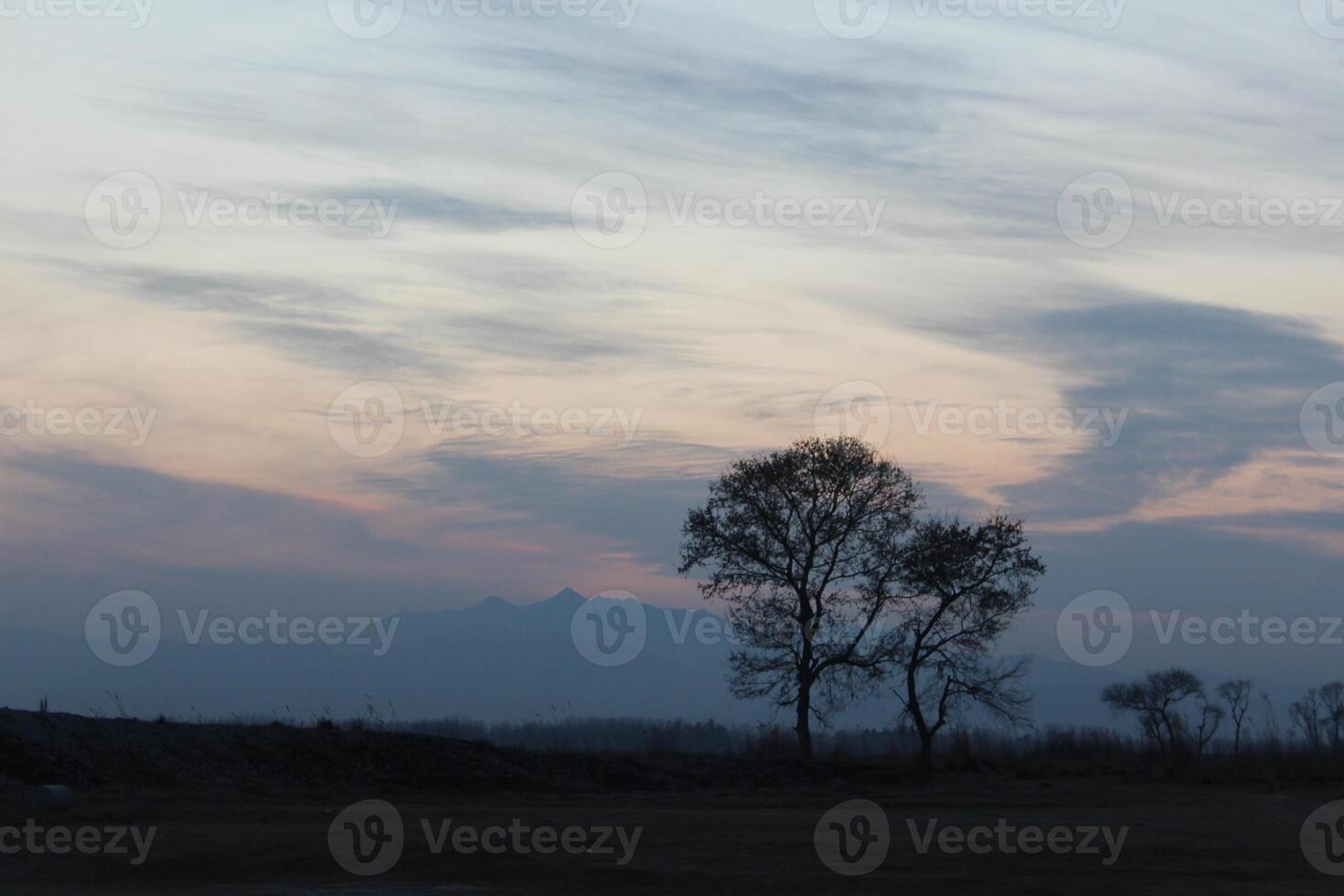 A plane flying over a field with trees in the background photo