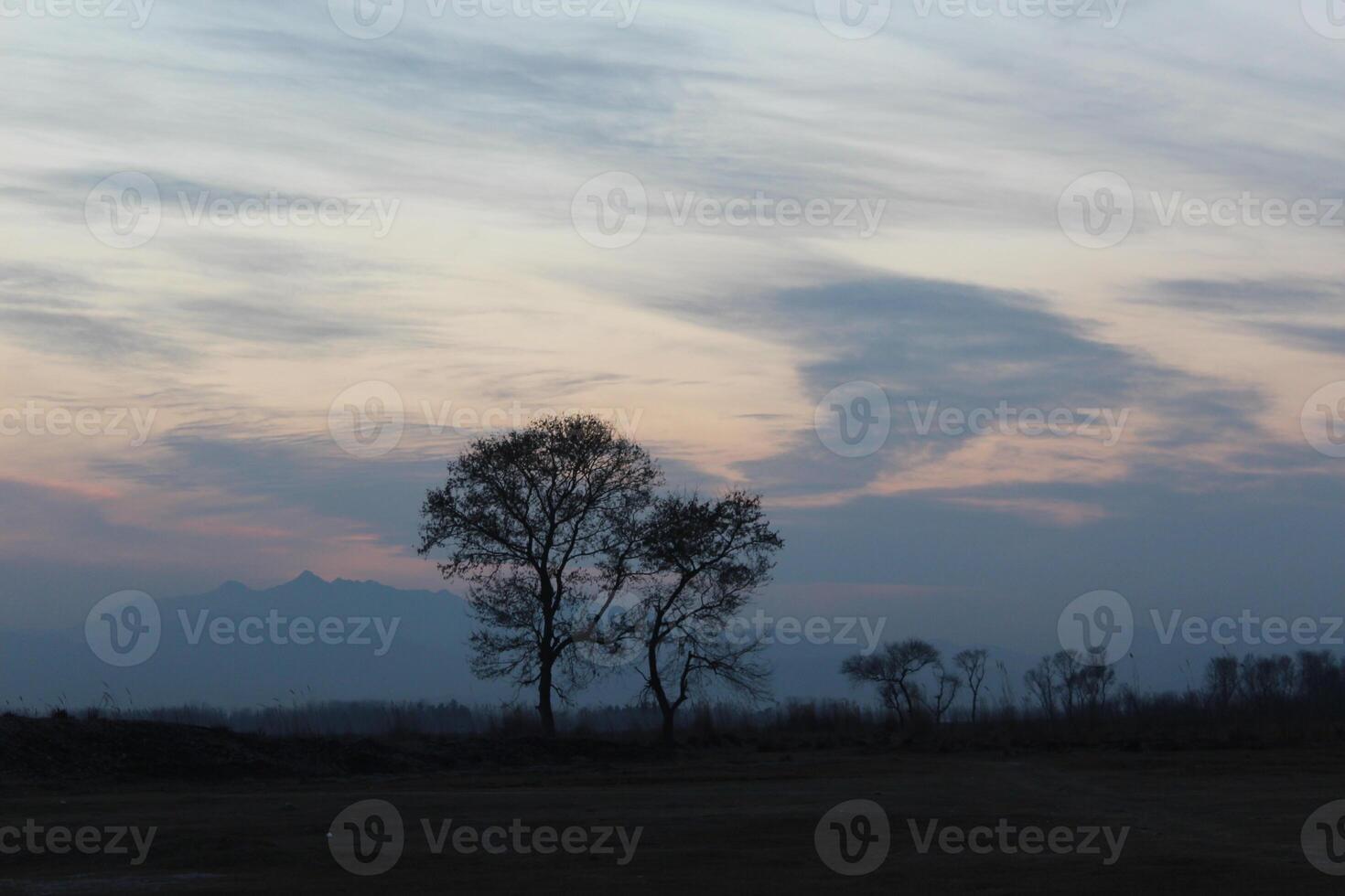 A lone kite flying in the sky at dusk photo
