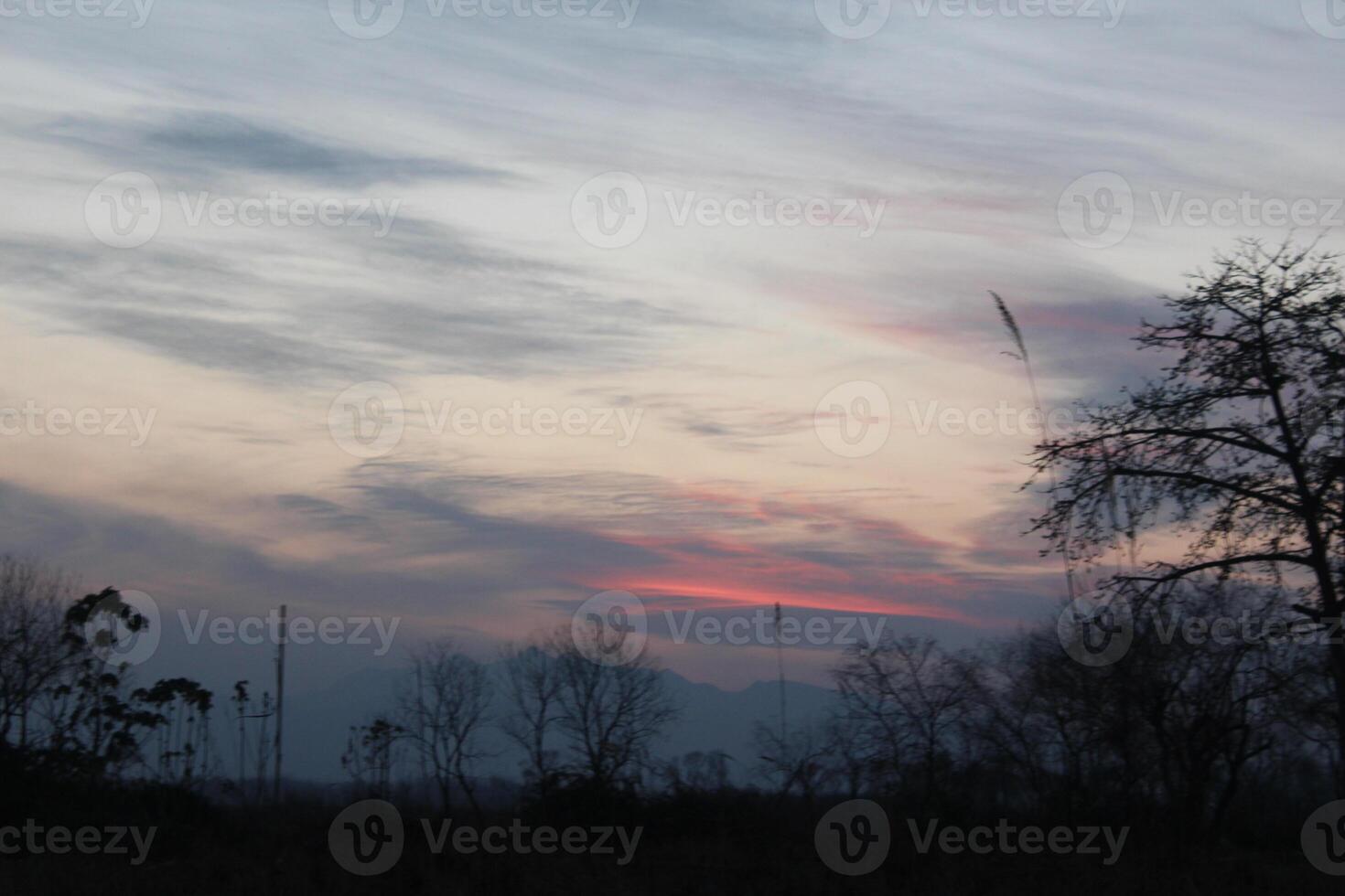 A plane flying over a field with a tree in the background photo