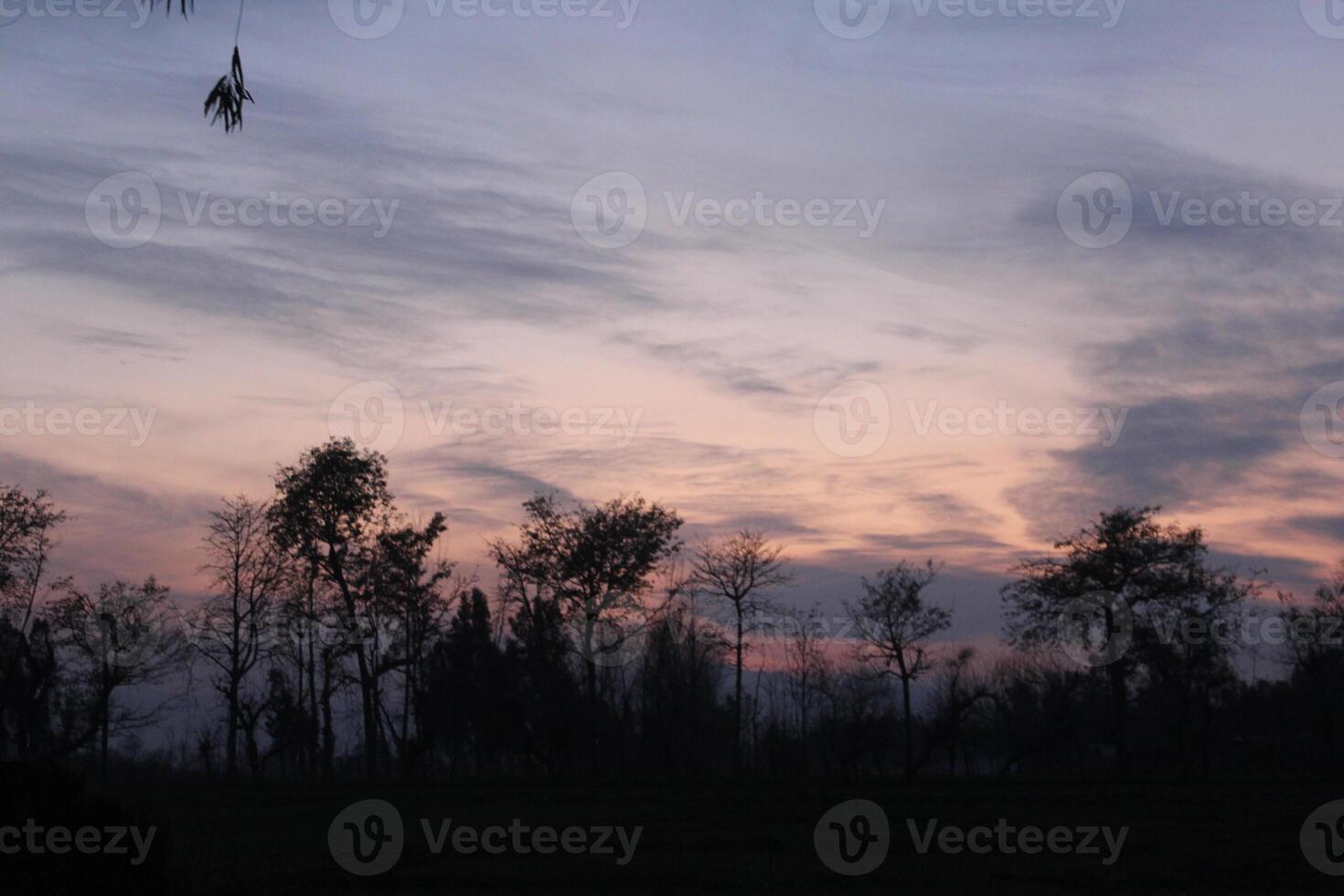 A sunset over a field with trees and sky photo