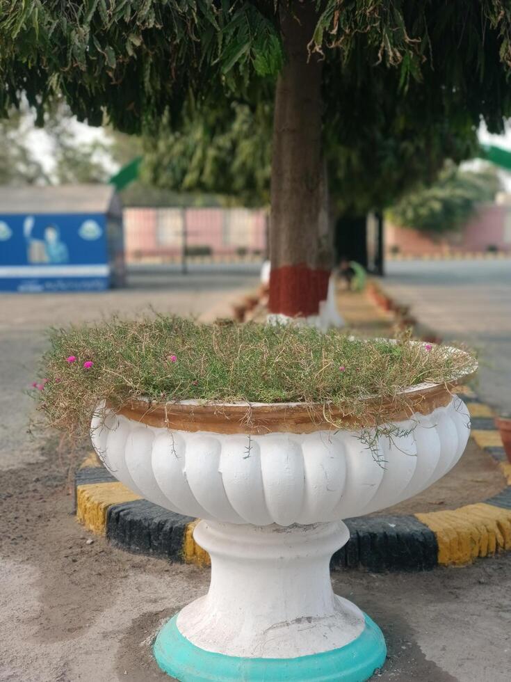 White Stone Planter Pot Outdoor Garden Decor Tree Background art home park road view grass green photo