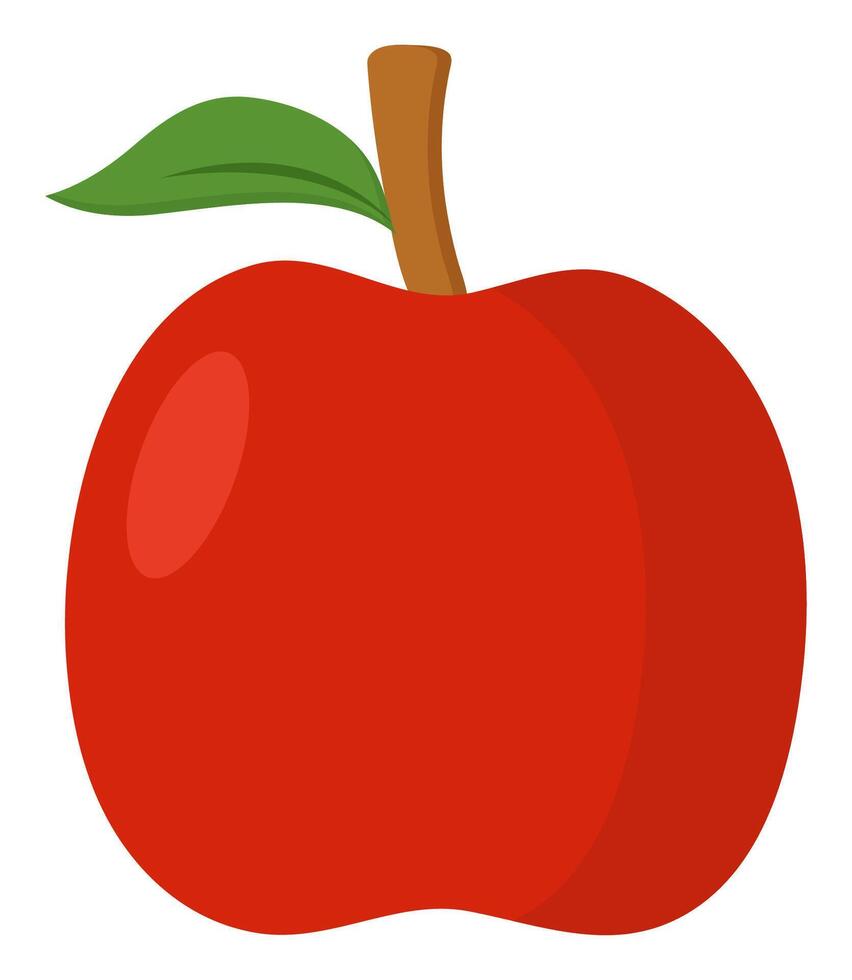 Apple fruit isolated on white background. vector