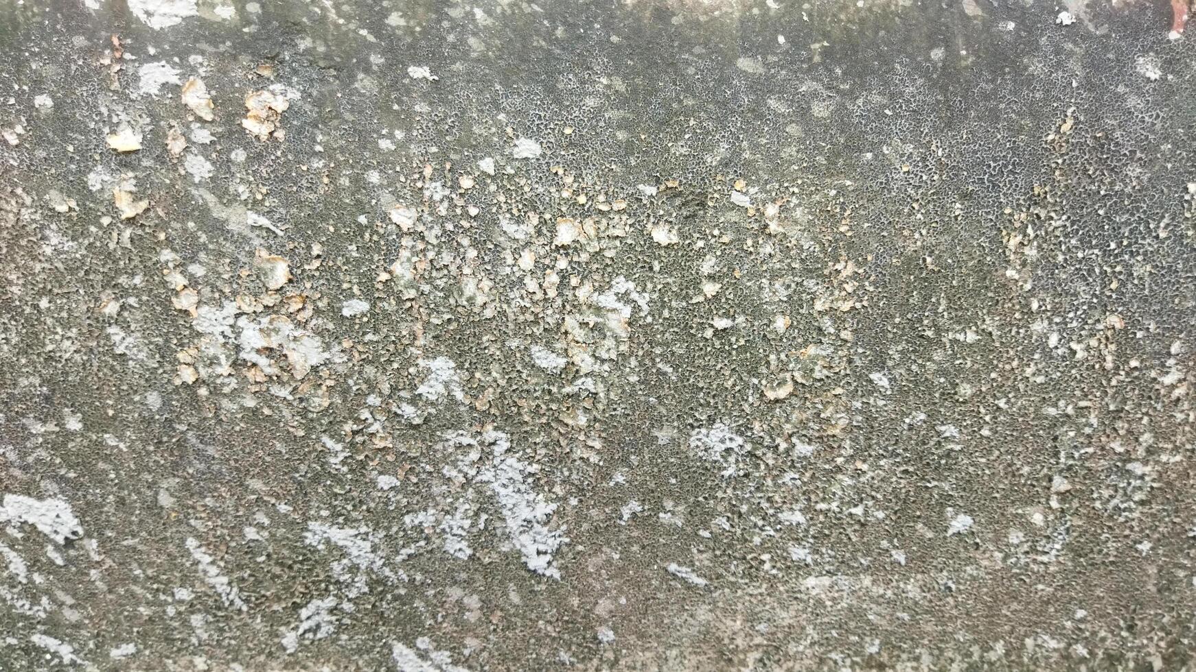 Detailed close-up view of a weathered wall surface with natural erosion patterns and textured formations. photo