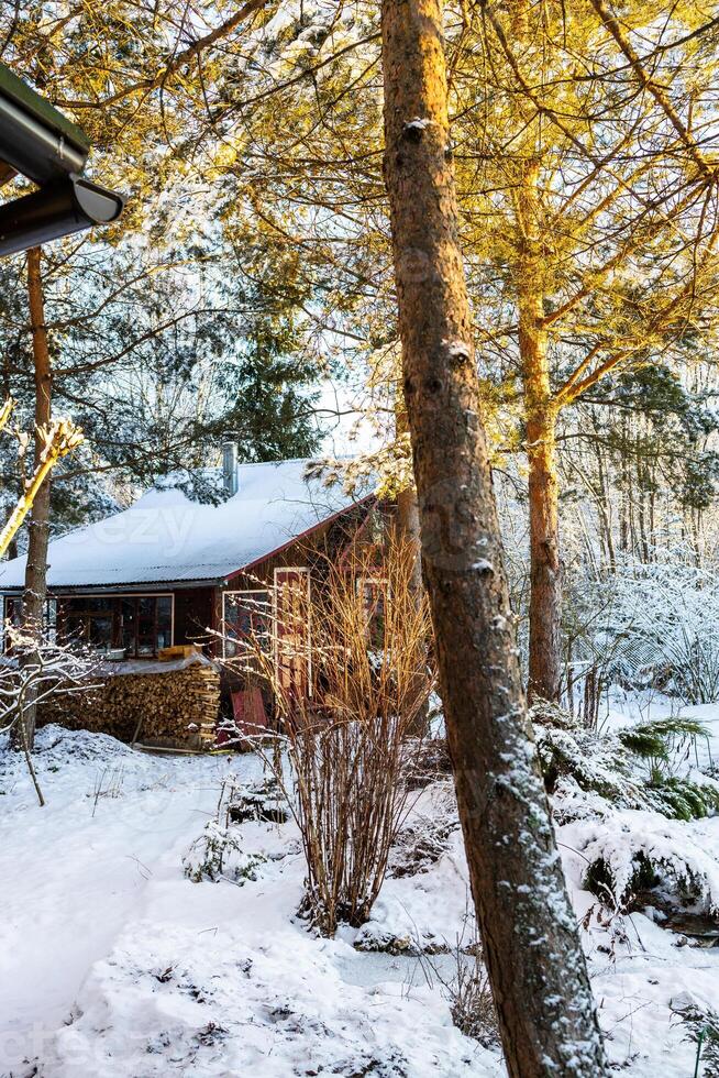 trees and log house with woodpile in snowy yard photo