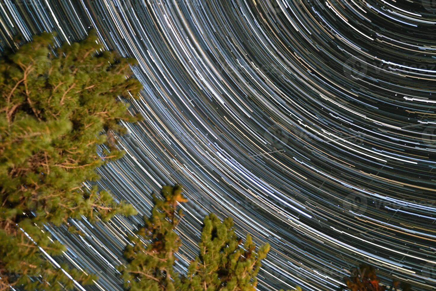 Star trails illuminate the night sky above tall pine trees in a remote forest location photo
