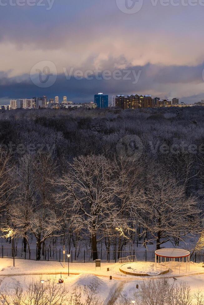 city park and houses on horizon in winter night photo