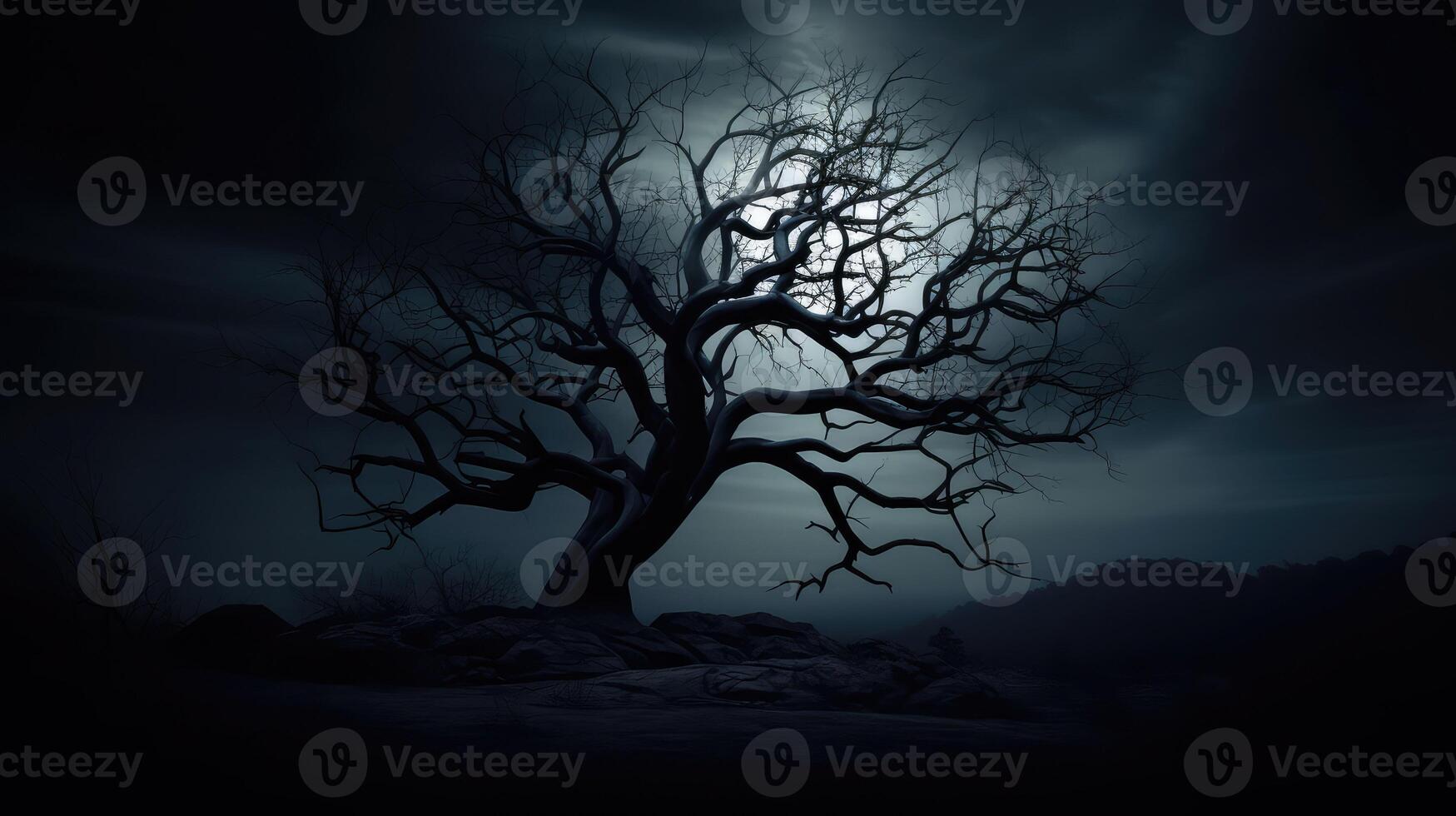 night black bacground photo