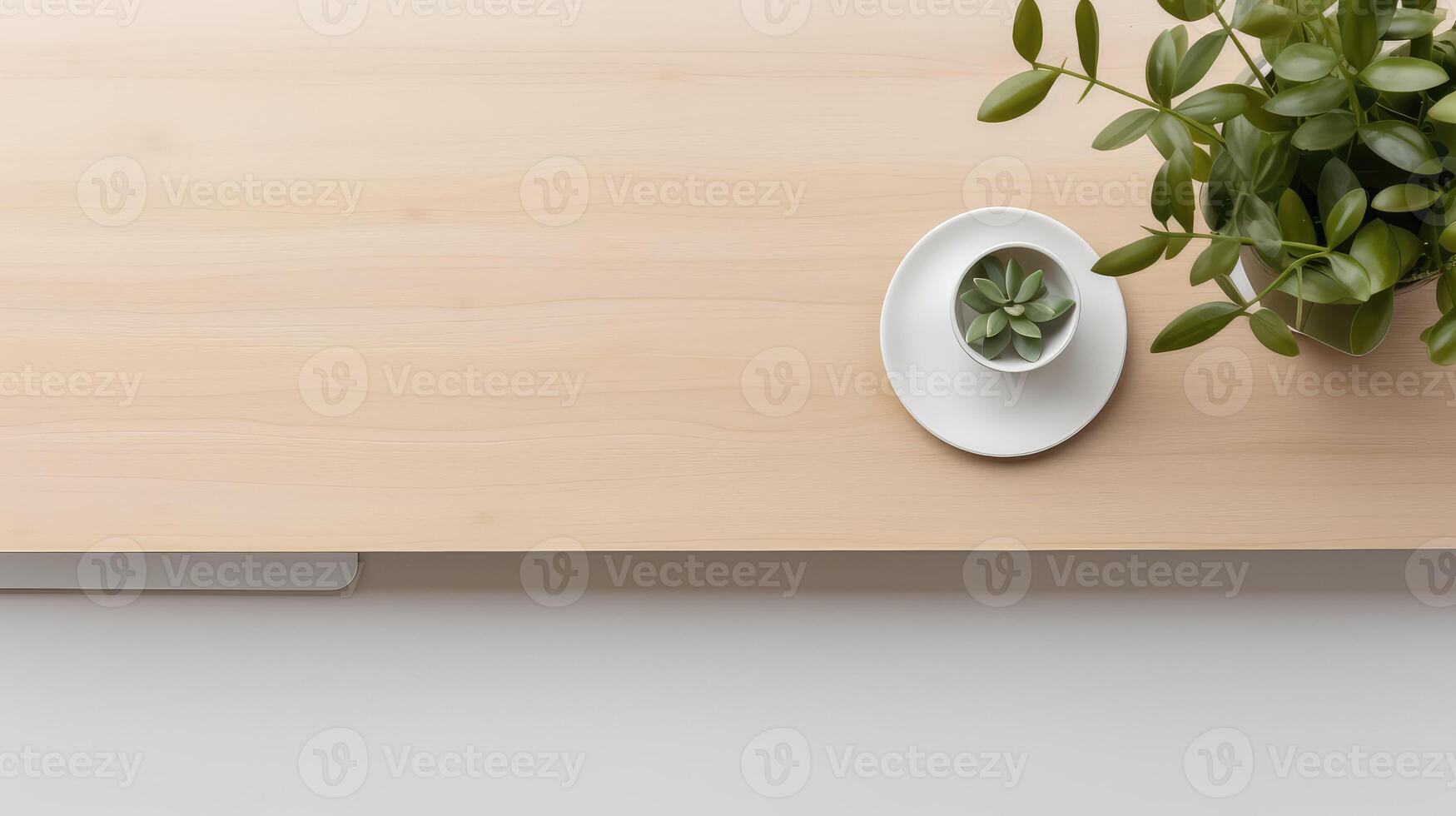 succulent office table top view photo