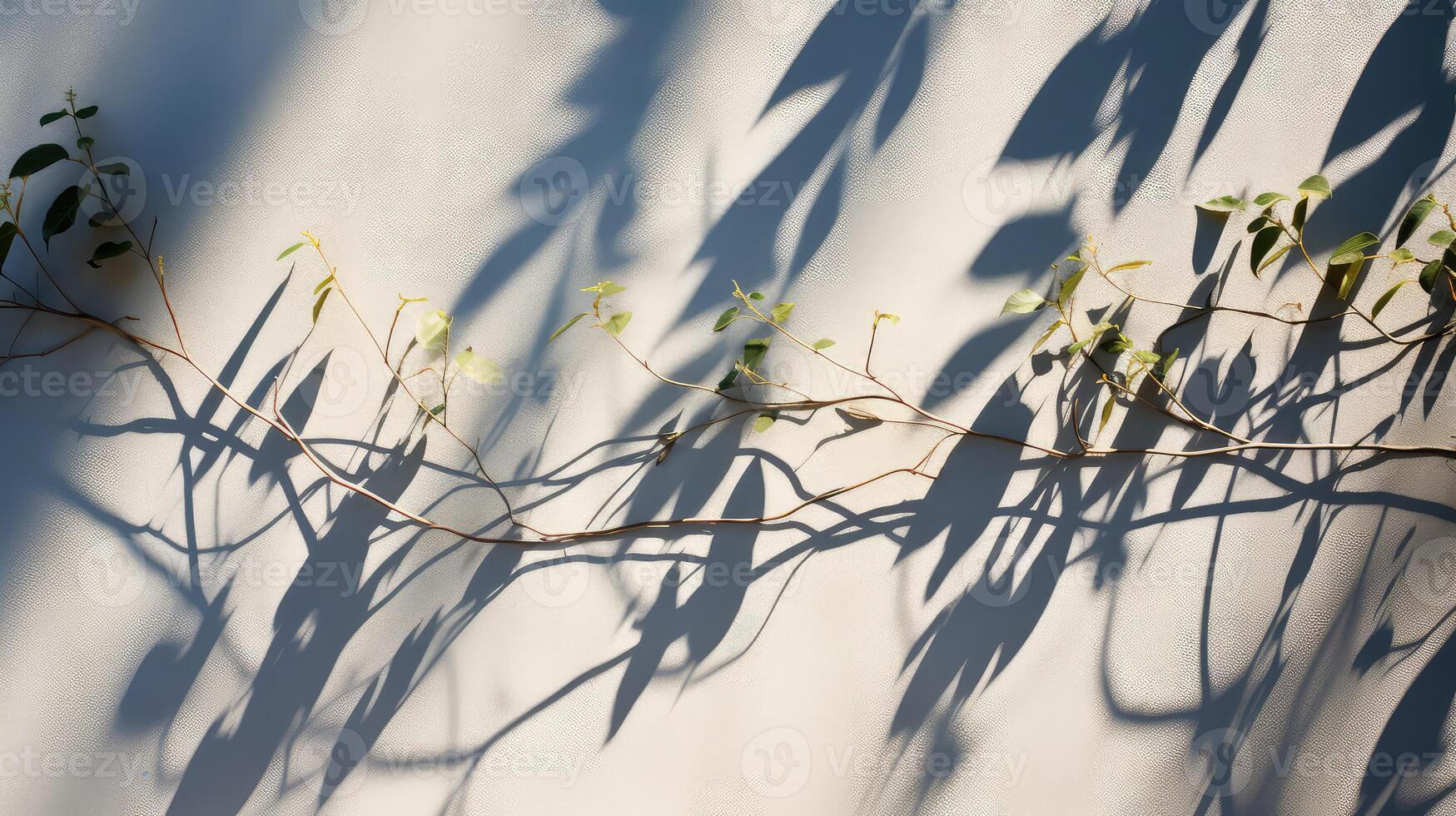 light abstract plant photo