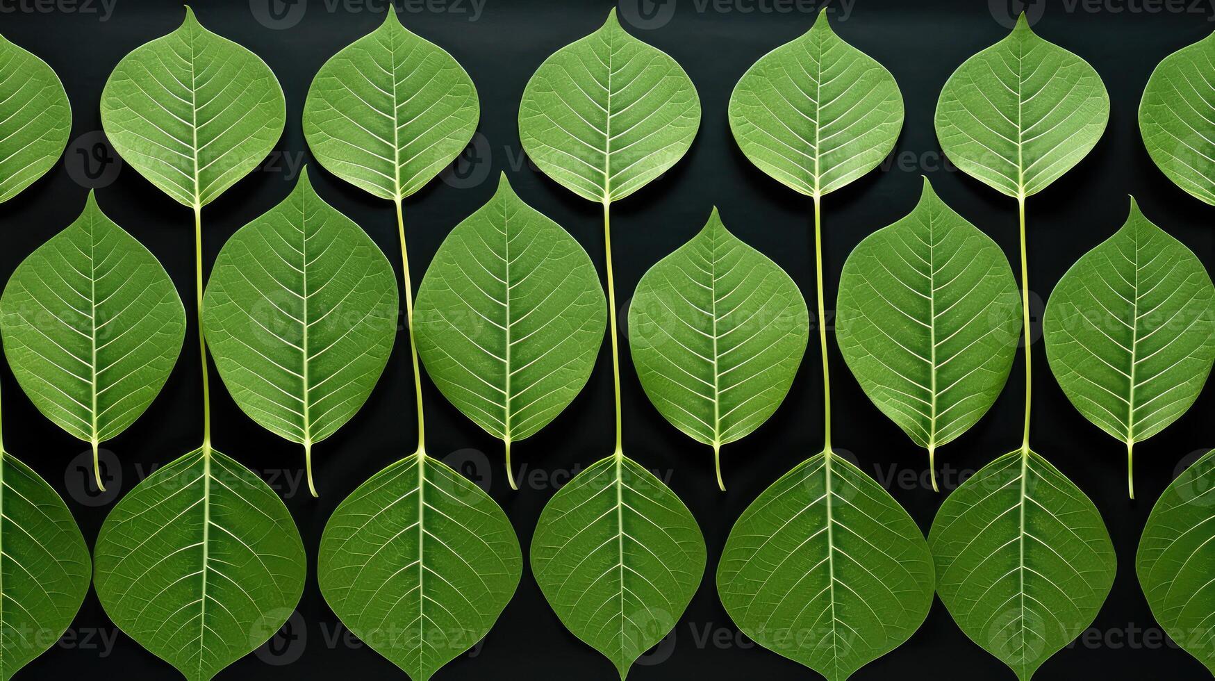 order leaf pattern photo