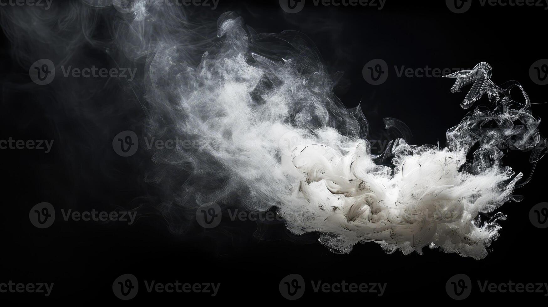 smoke chicken skewer black photo