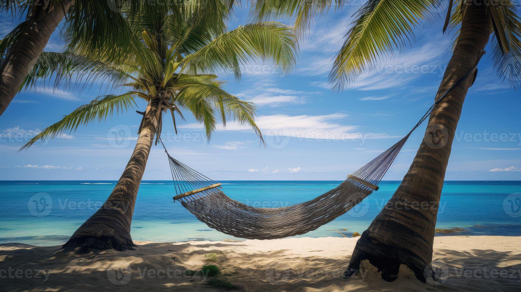 tropical beach palm trees photo