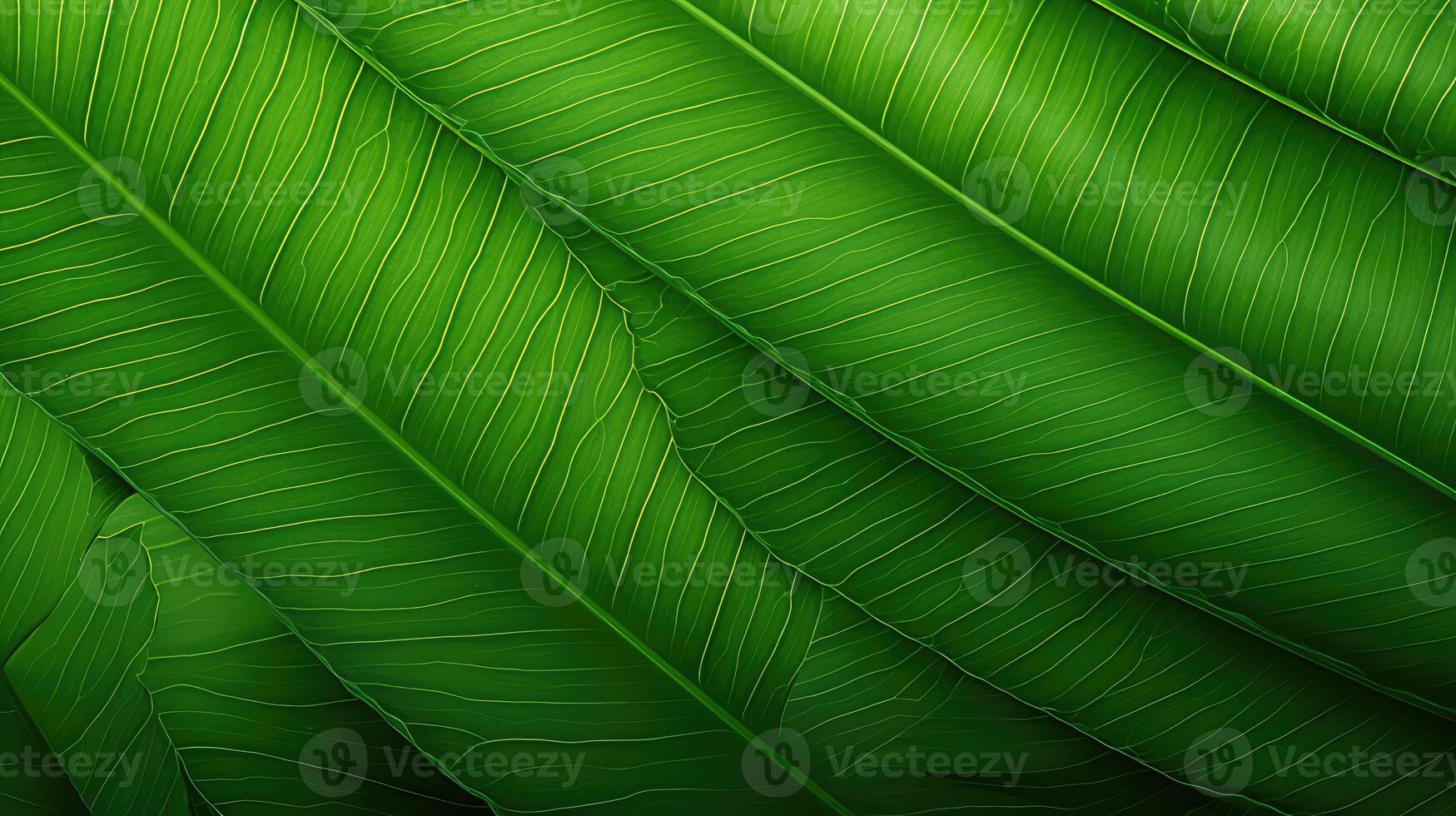 design green gradient pattern photo