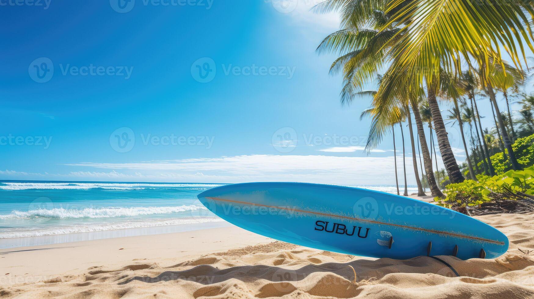 palm blue board photo