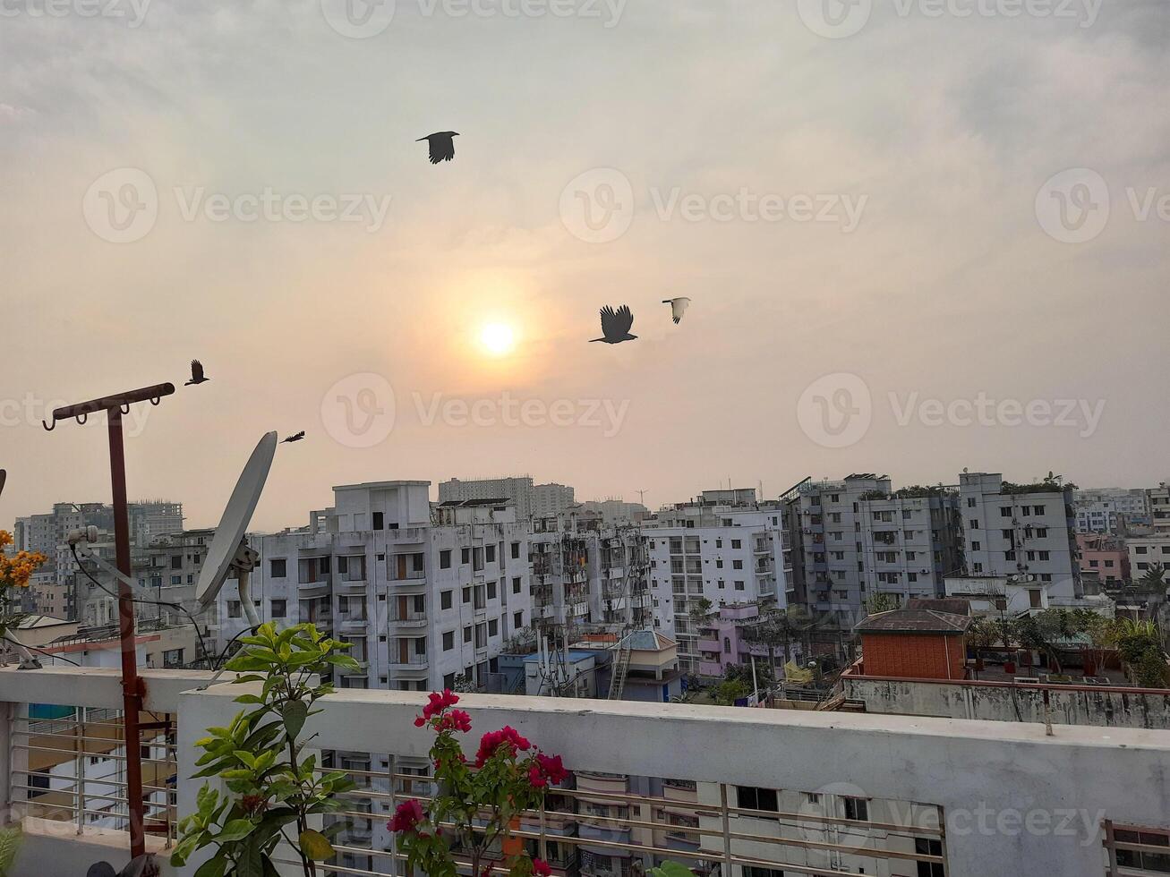 Winter afternoon is very beautiful photo