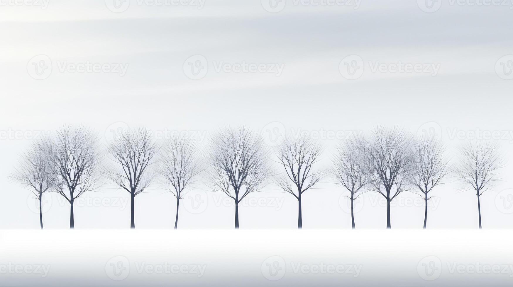 nature minimal tree photo