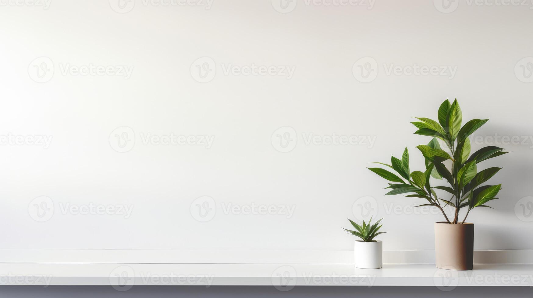 clean office blank wall photo