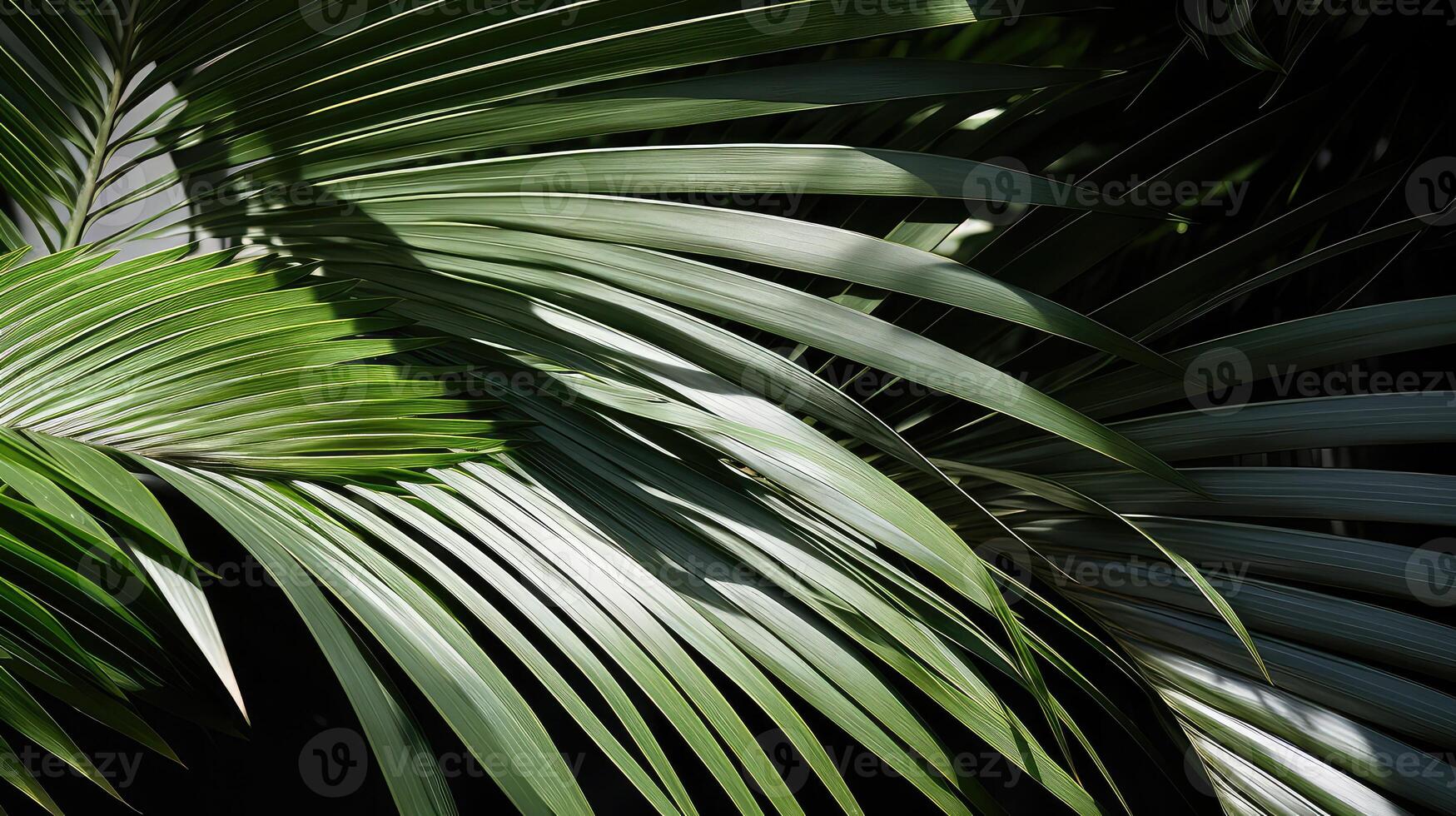 geometric abstract plants photo