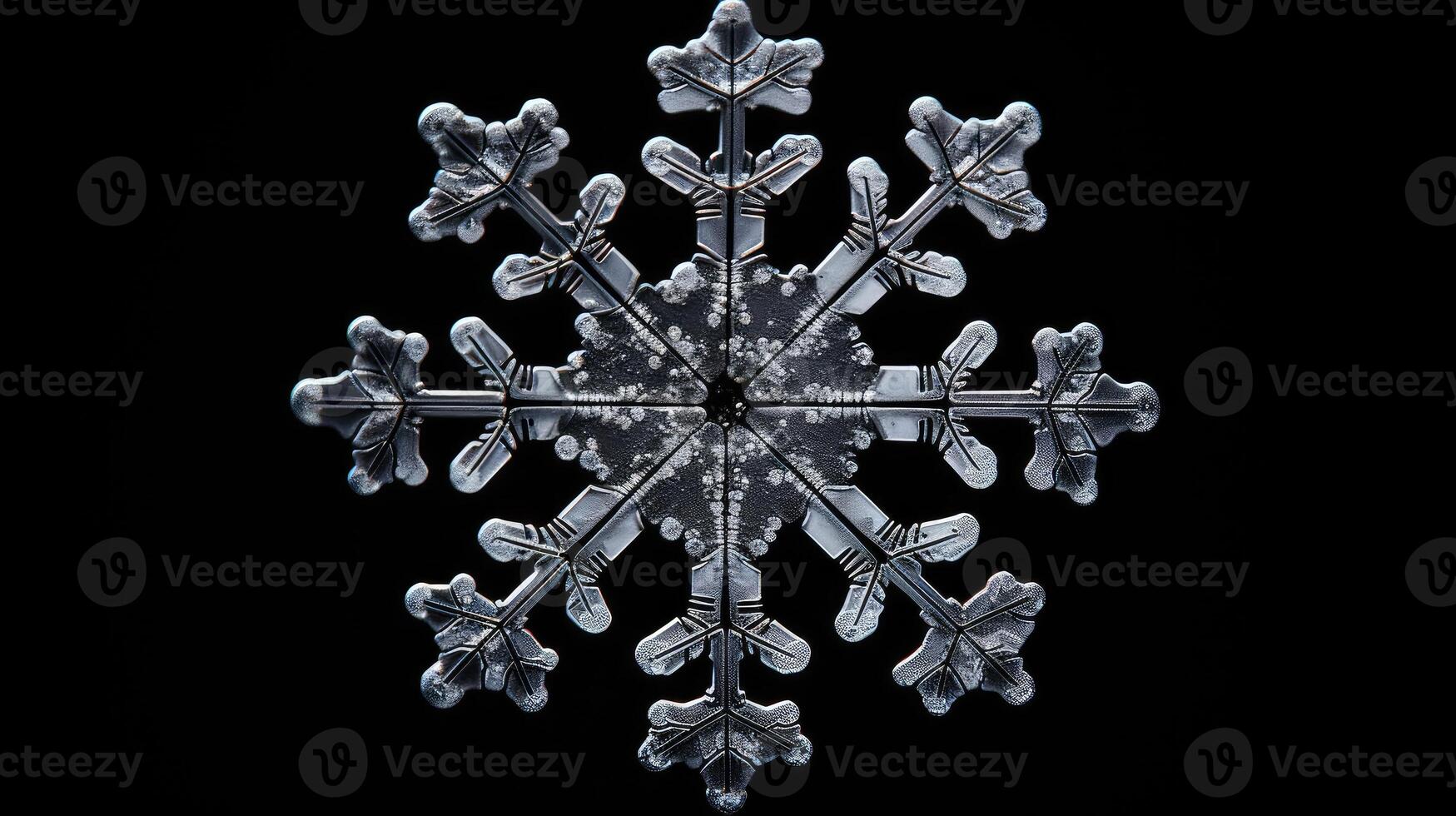 snowflake black plane photo