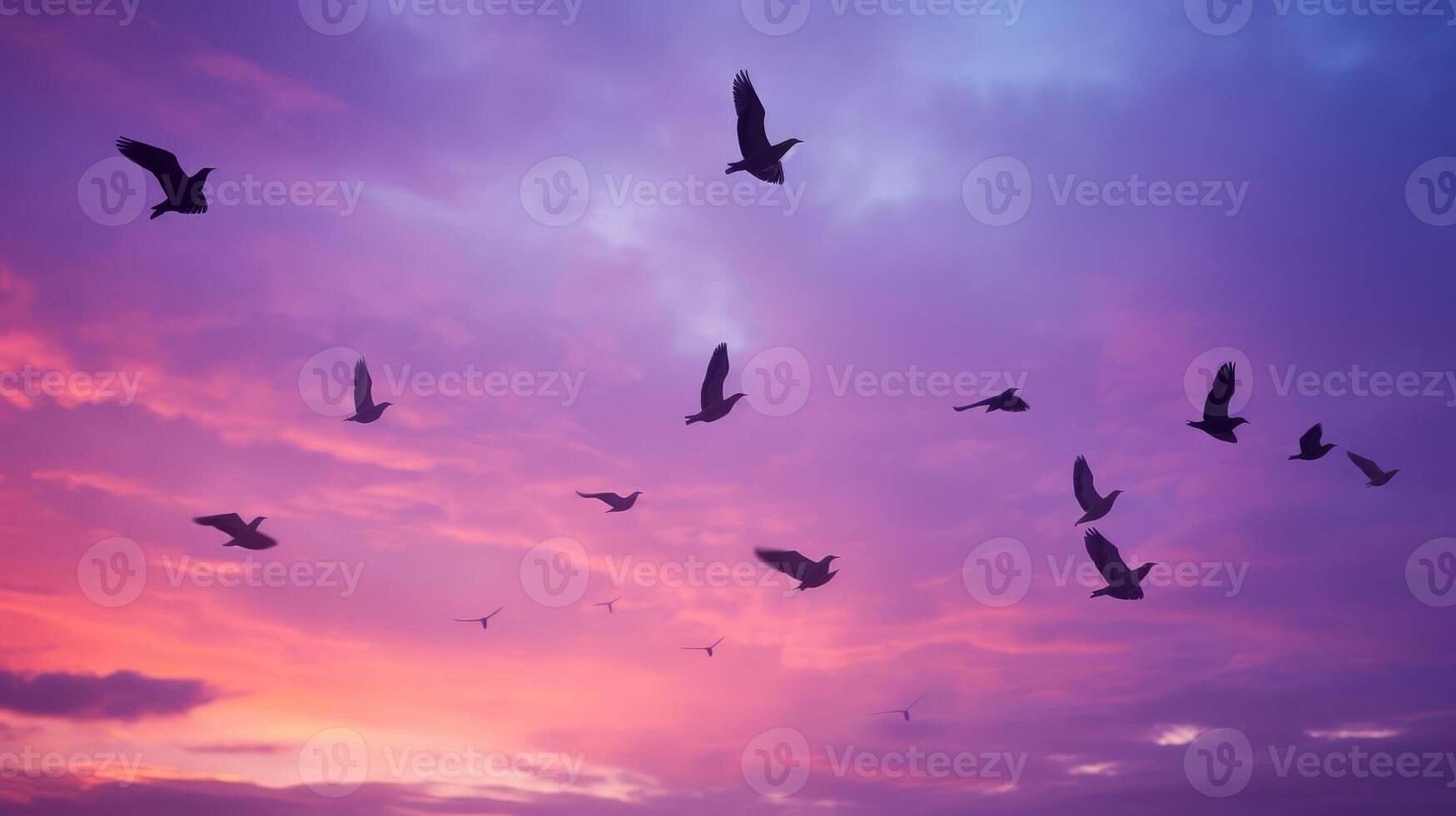 movement purple blue sky photo
