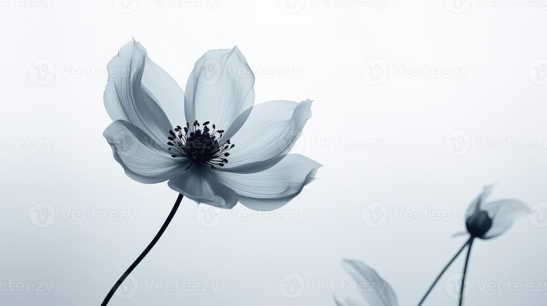 background black numbers photo