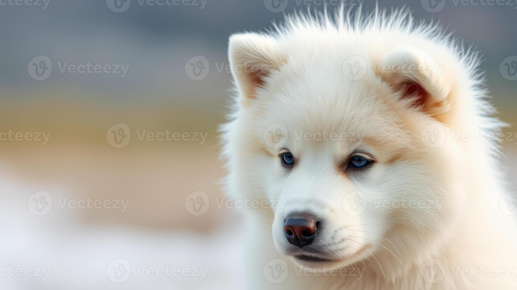 White fluffy puppy enjoying a sunny day in a natural setting with blurred background photo