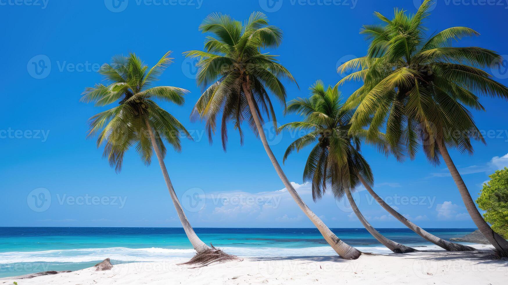 breeze tree plants photo