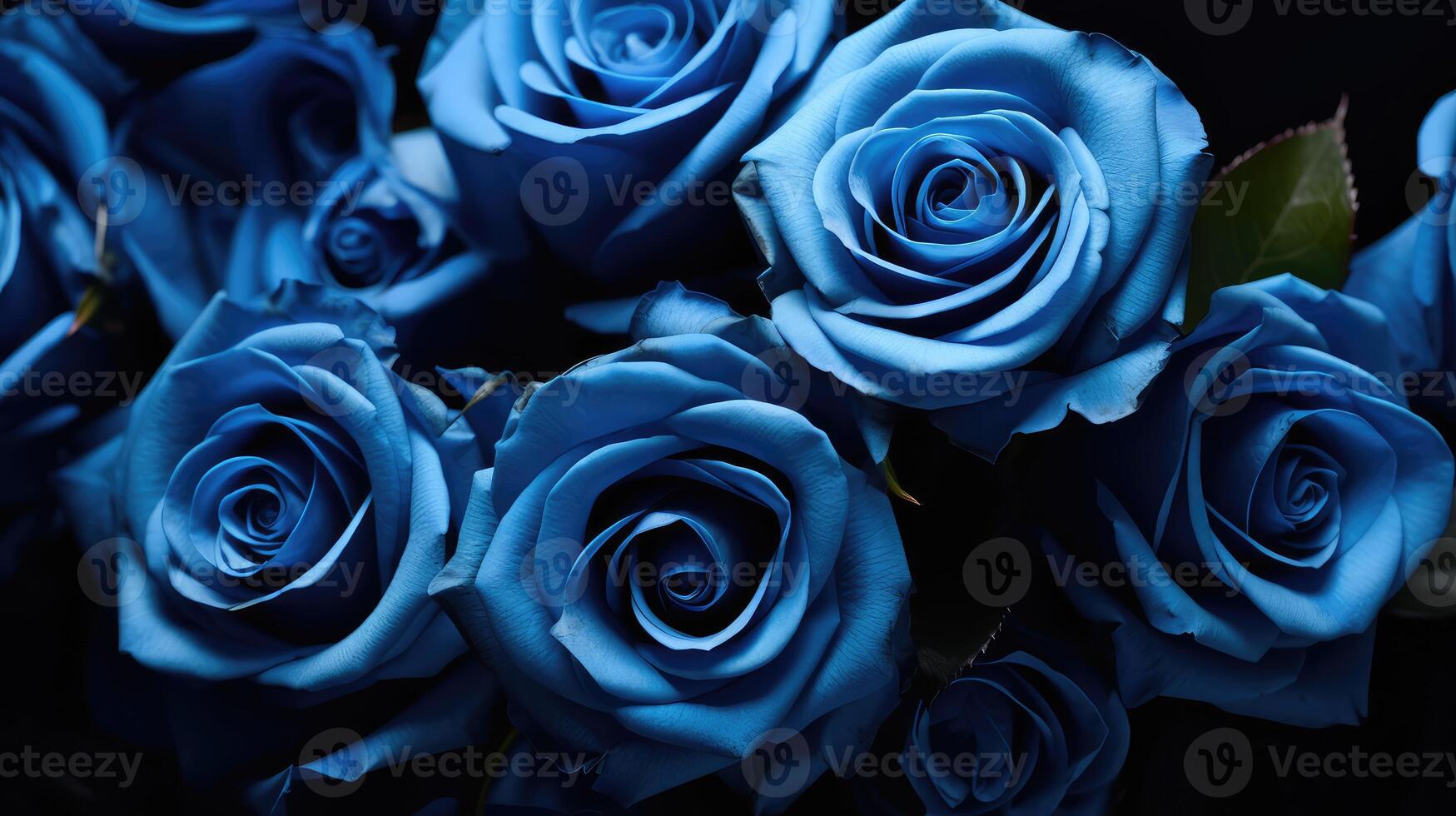 effect blue rose background photo