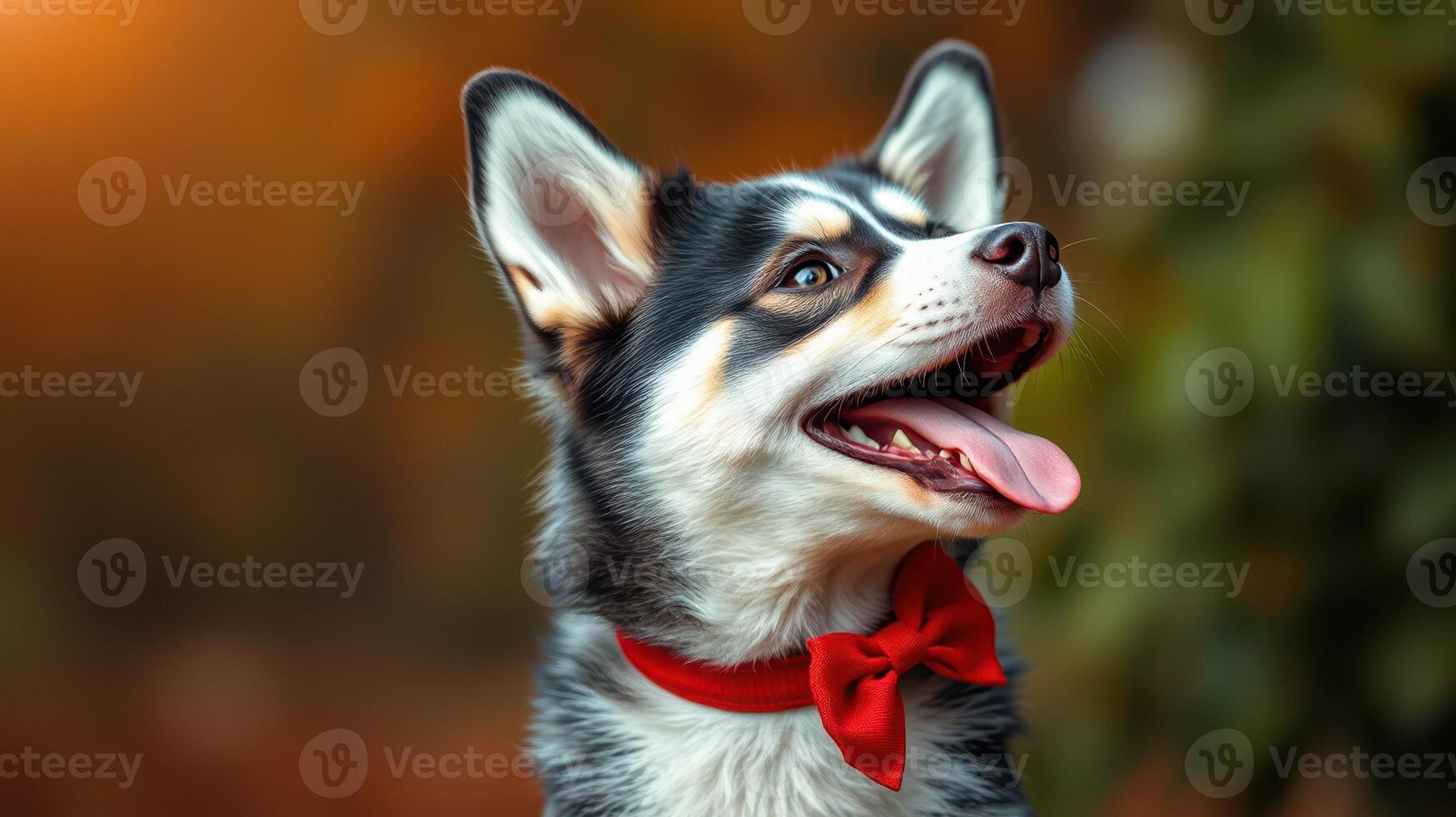 Adorable dog in a red bow tie posing outdoors during golden hour with warm bokeh background photo