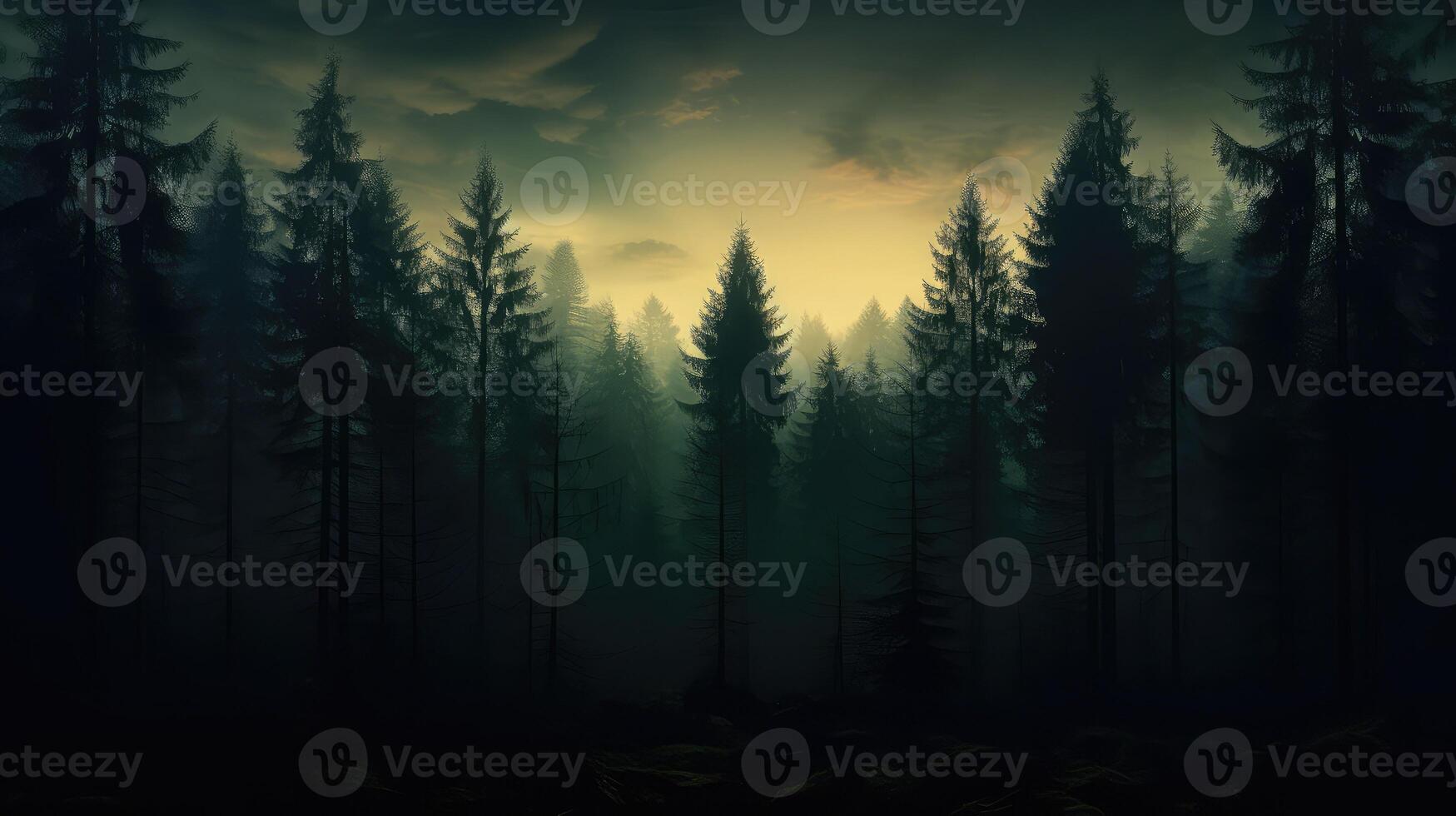 trees dark gradient photo