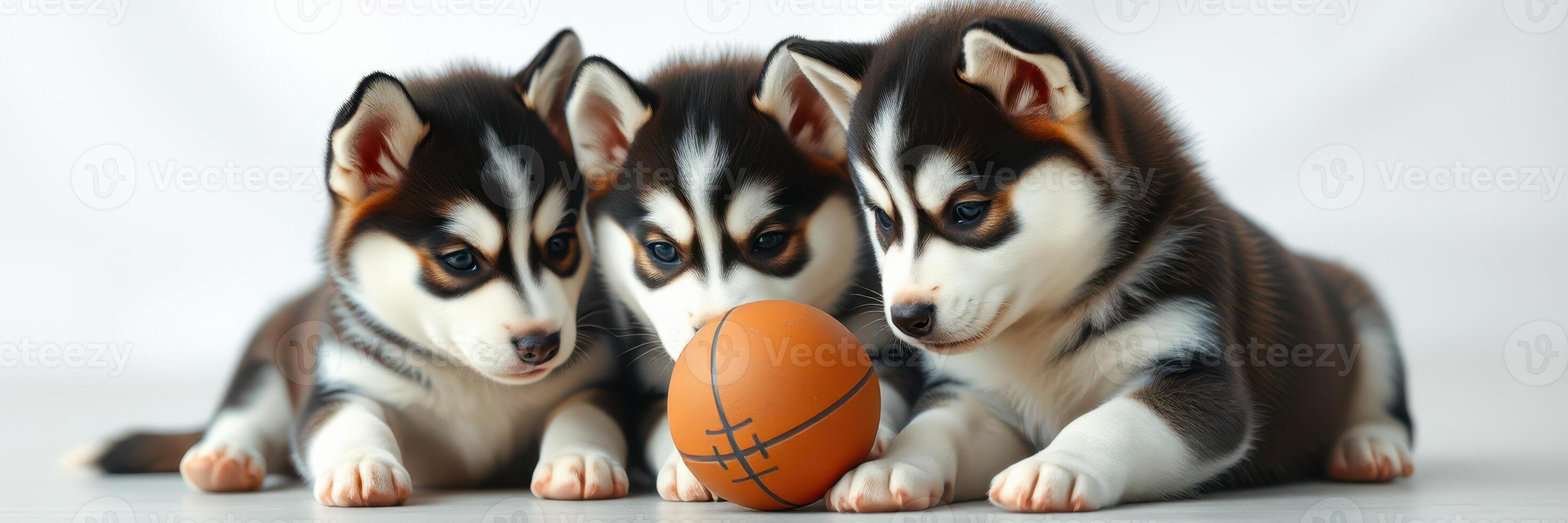 Three playful puppies interact with a basketball on a soft surface indoors during afternoon light photo
