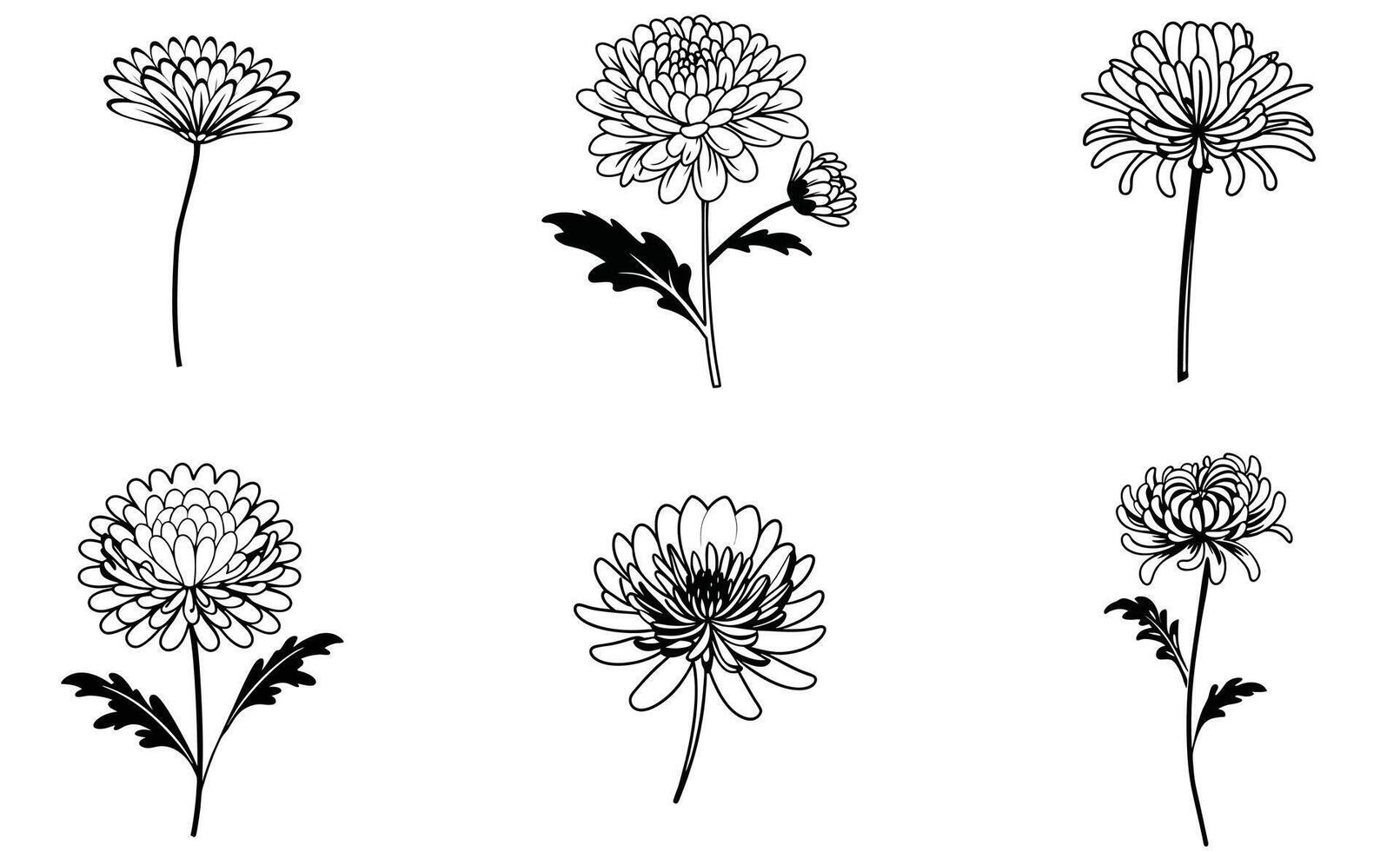 Floral Pattern and Background Bundle vector