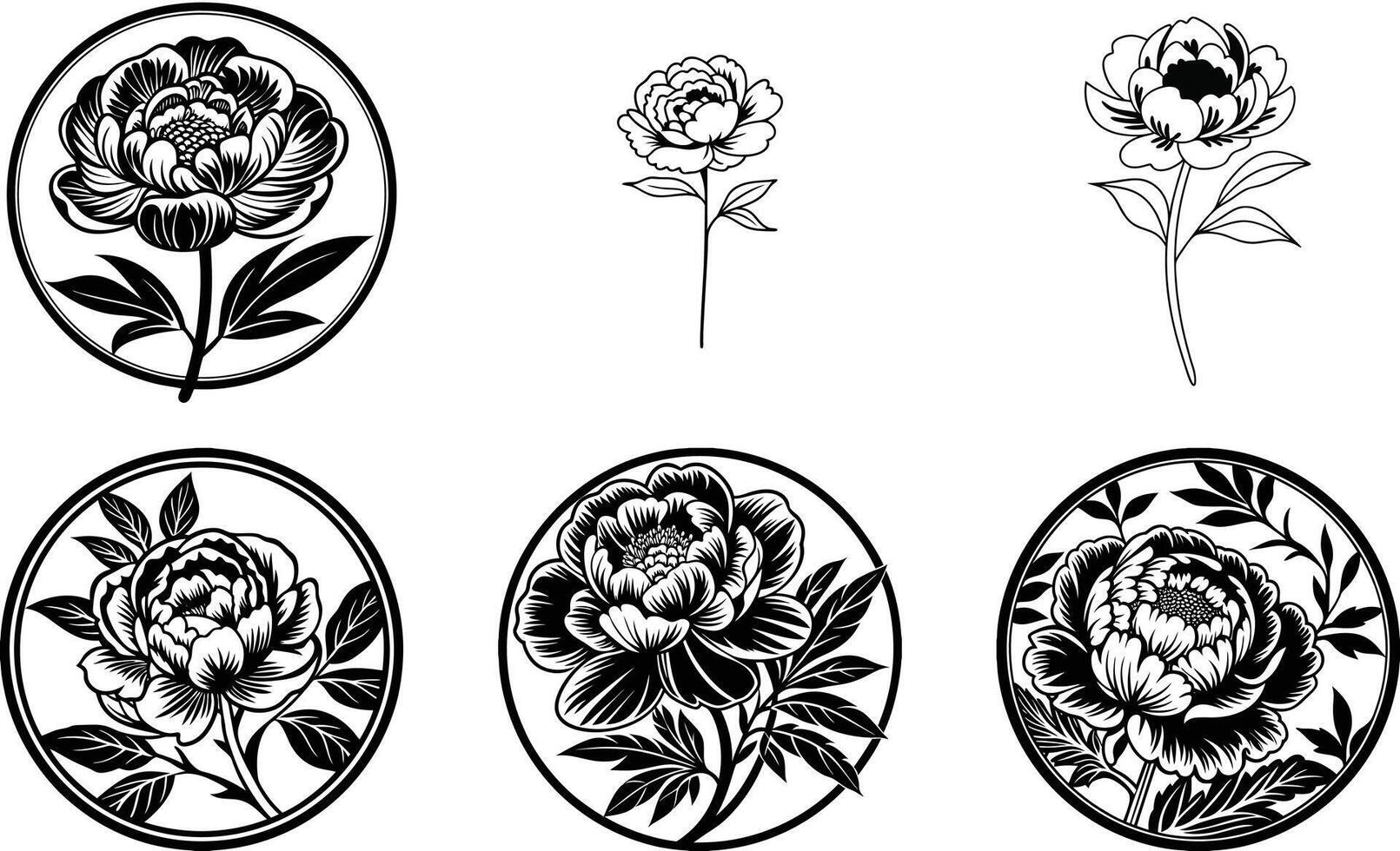 Detailed Floral Motifs and Icons vector