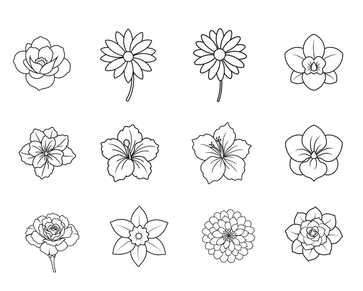 Floral Outline Collection Floral Outline Collection