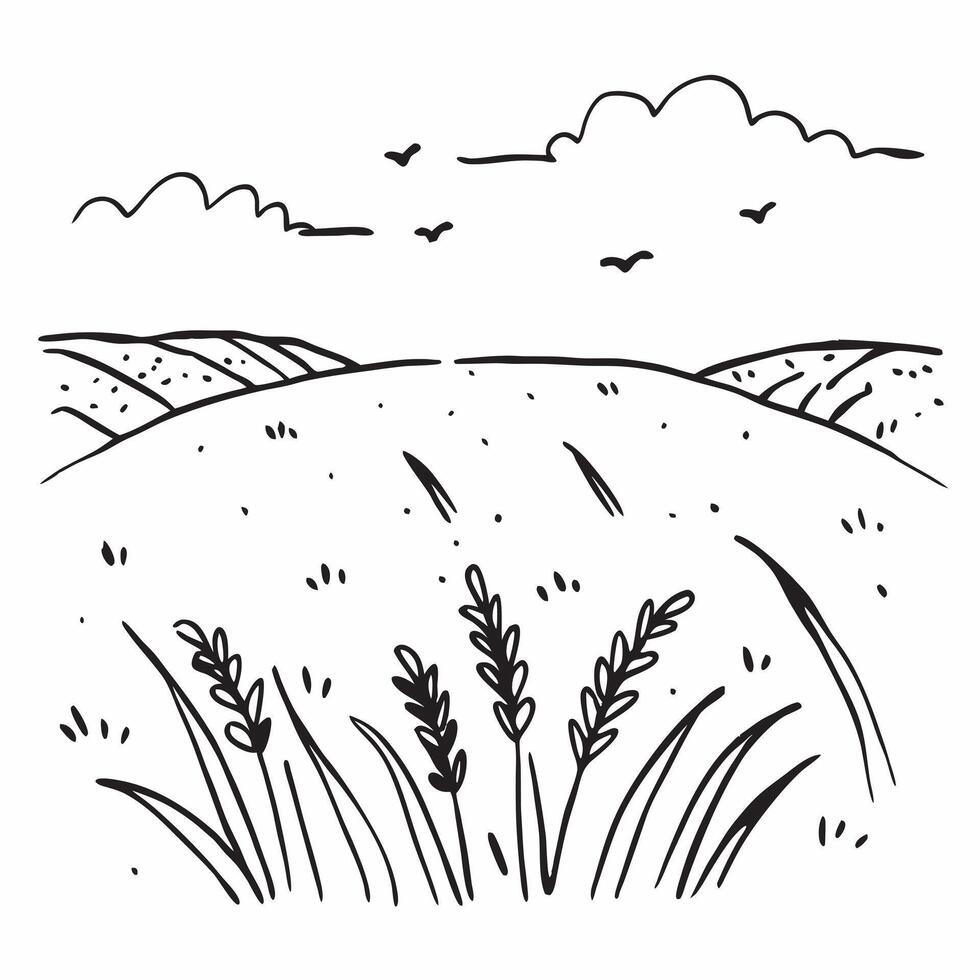 Blooming lavender field under a summer sky concept as A beautiful lavender field in full bloom under the bright summer sky offering a clean and fragrant background for business pre Dynamics vector