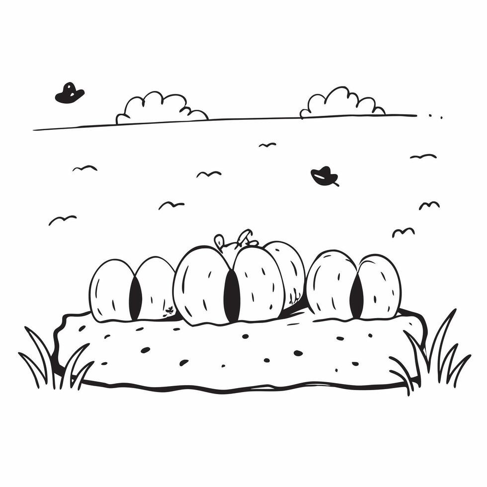 Pumpkin patch under a clear autumn sky concept as A picturesque pumpkin patch under a clear autumn sky capturing the essence of Thanksgiving perfect for business presentations need Dynamics vector