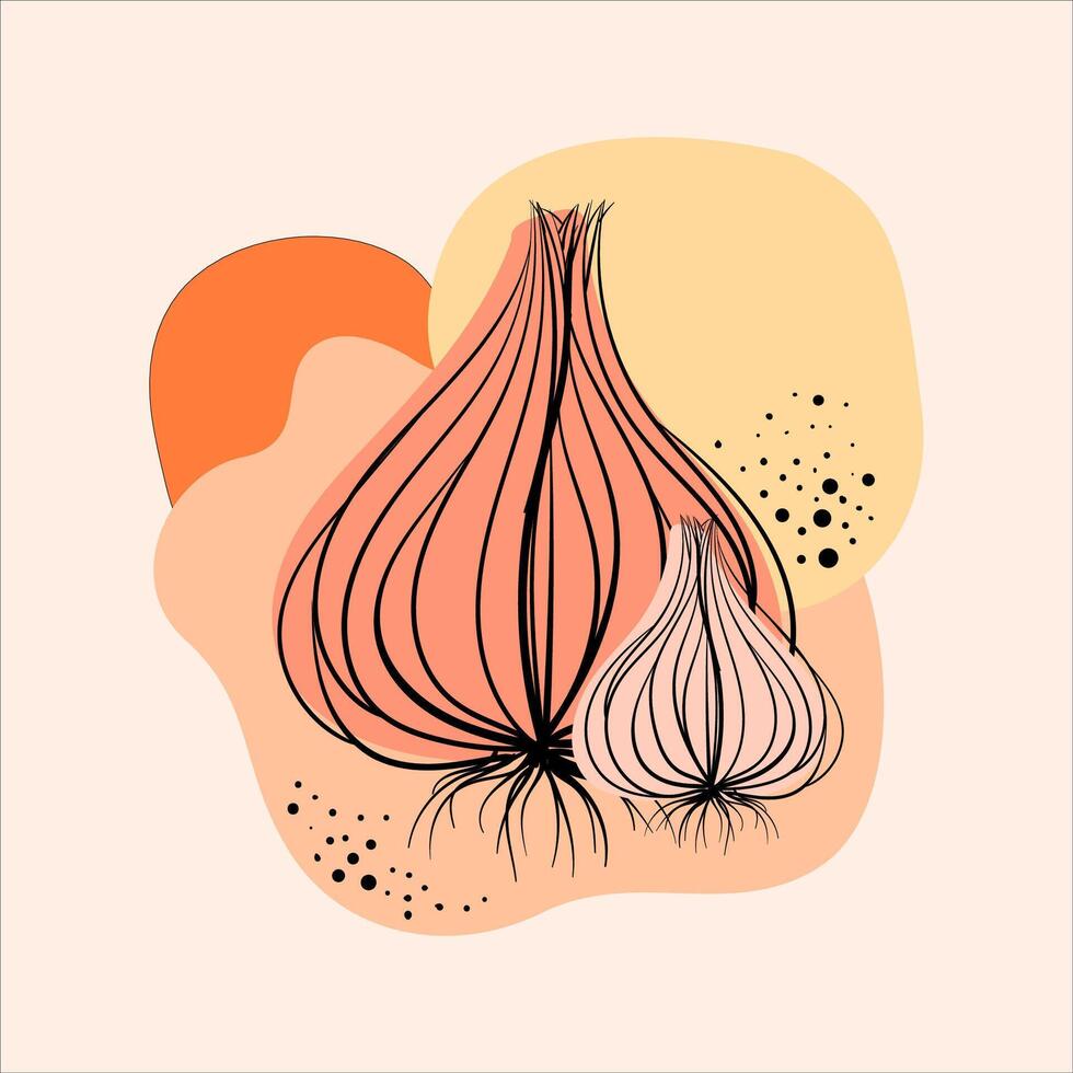 Illustration of onion on abstract background. hand drawn illustration. vector