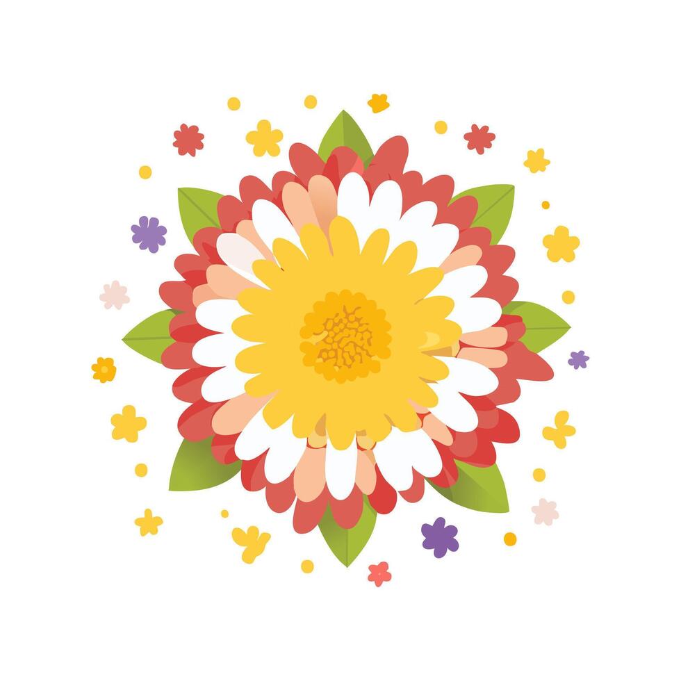 Illustration Chrysanthemum burst vector